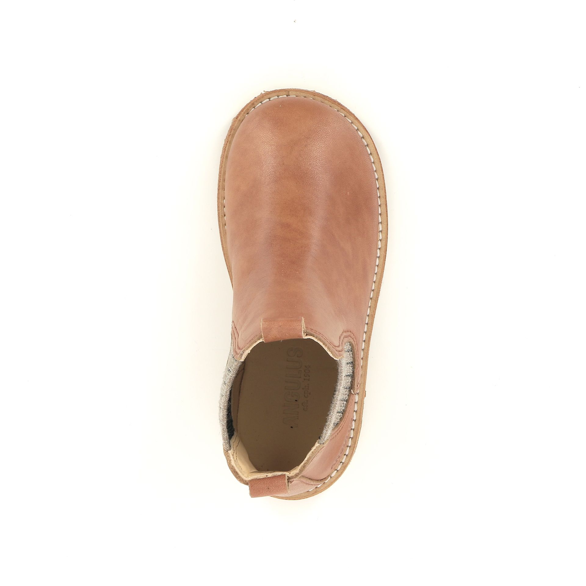 Angulus Boots 259500 cognac