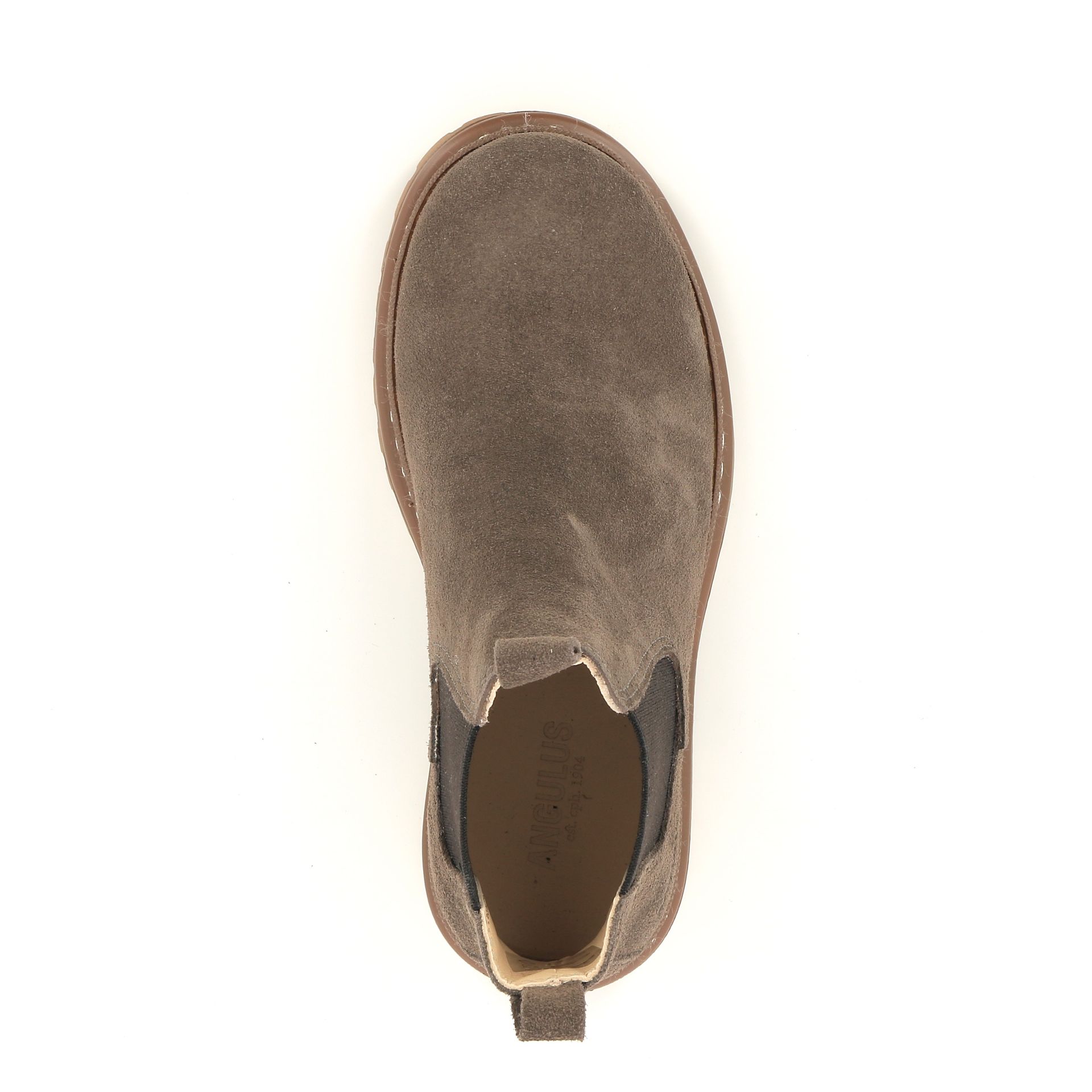 Angulus Boots 259501 taupe