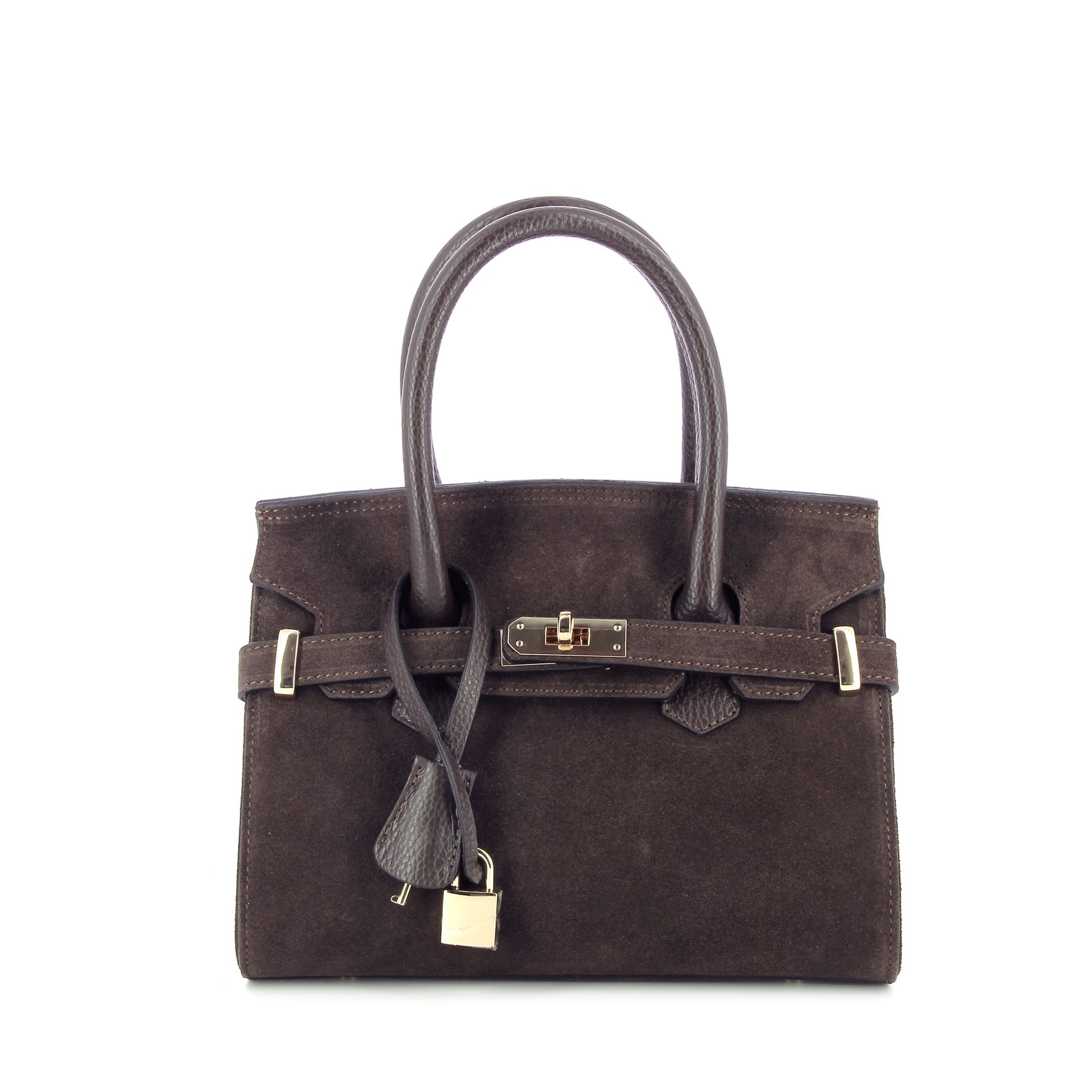Carol J. Handtas 259804 bruin