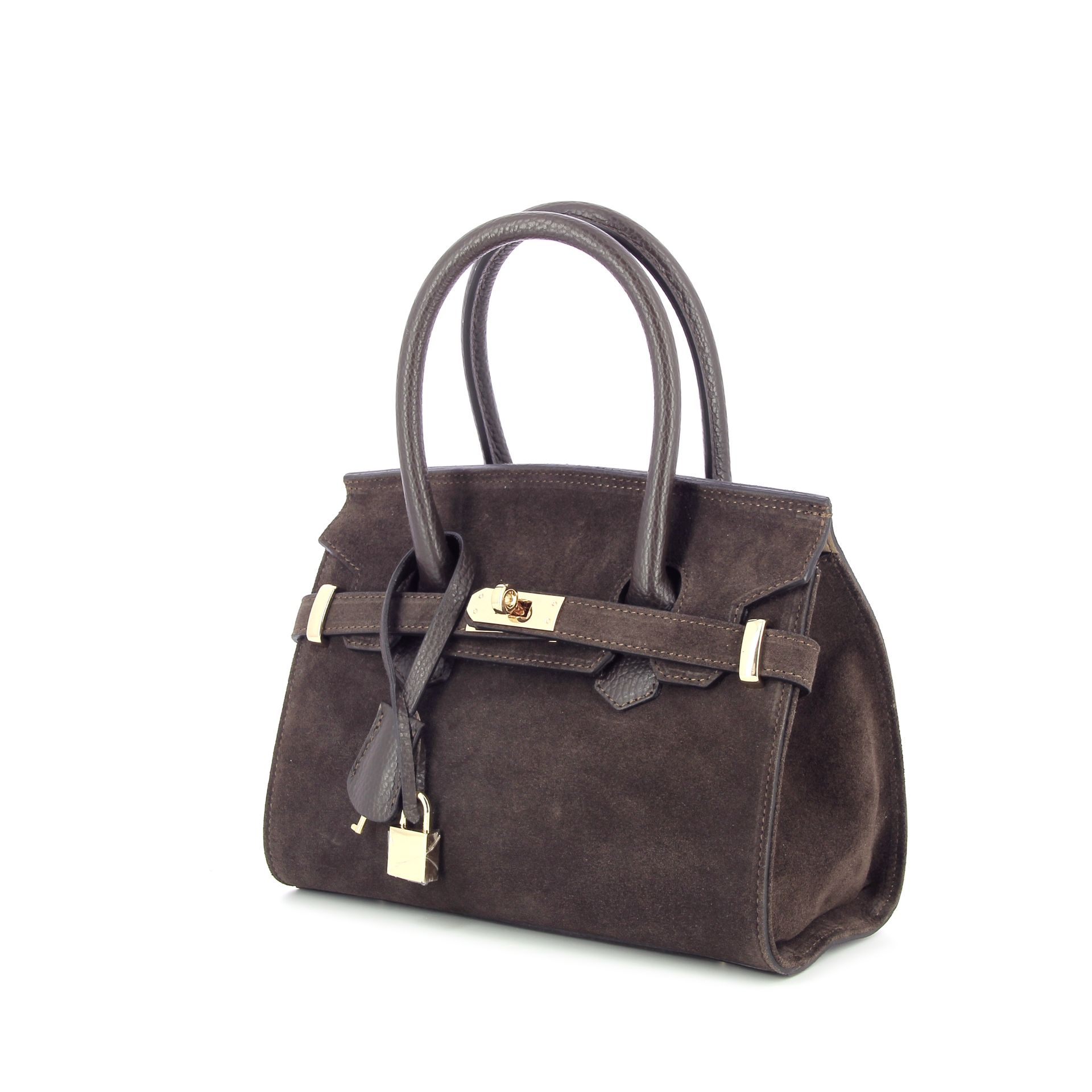 Carol J. Handtas 259804 bruin