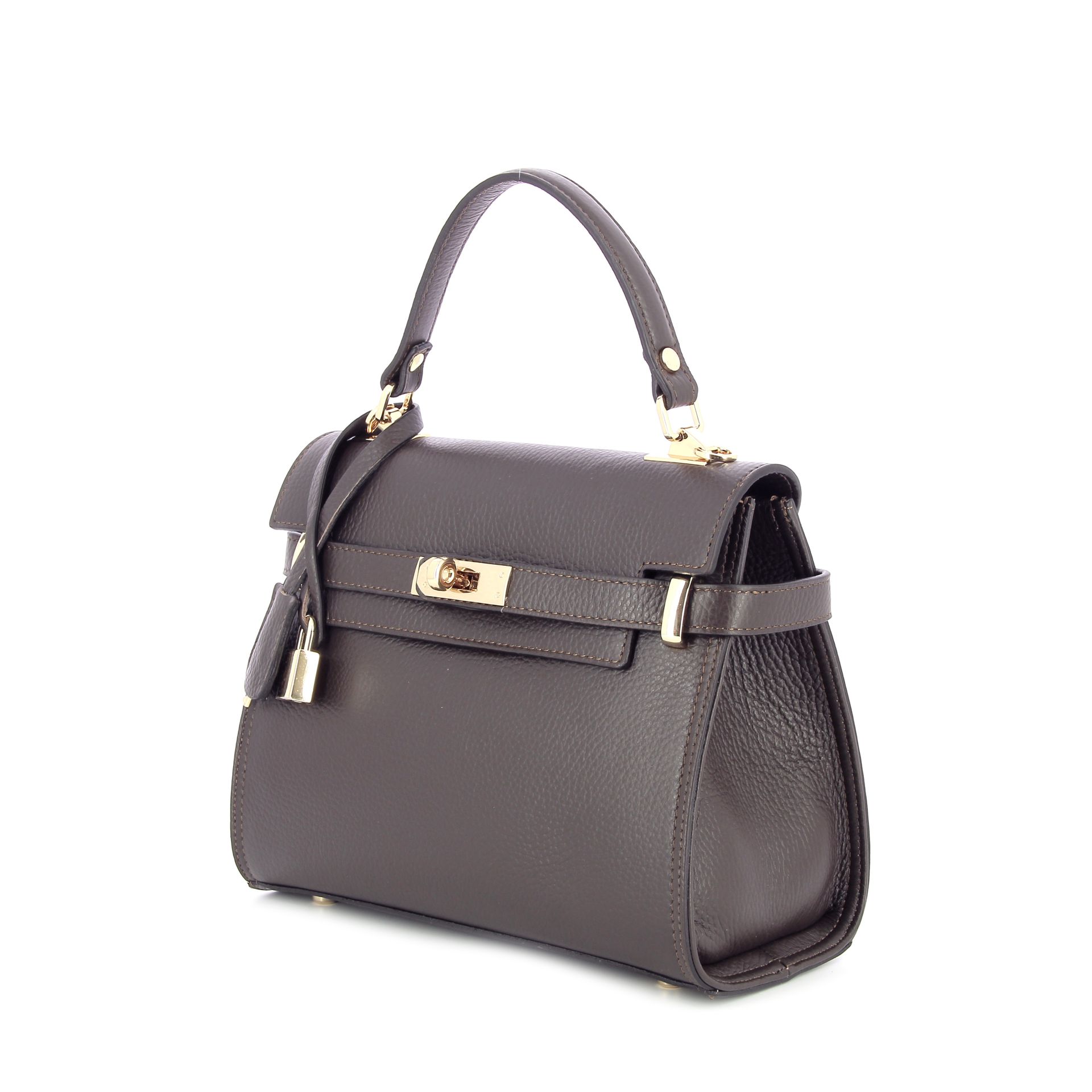 Carol J. Handtas 259857 bruin