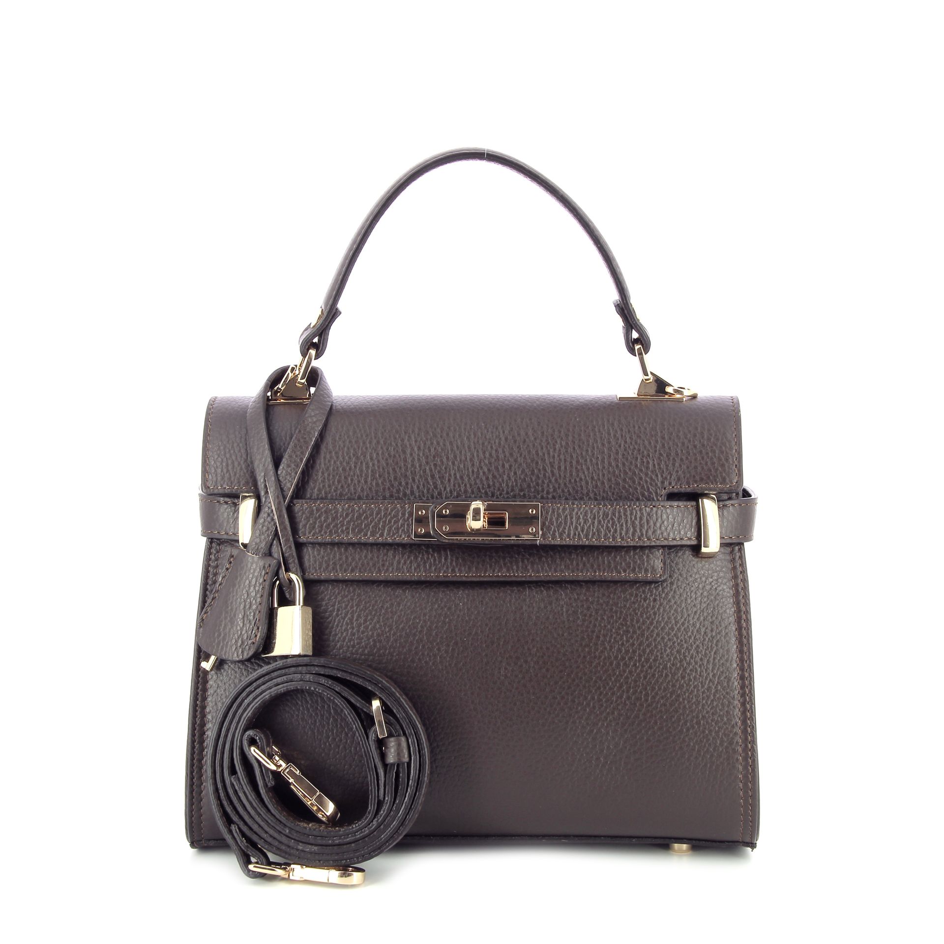 Carol J. Handtas 259857 bruin