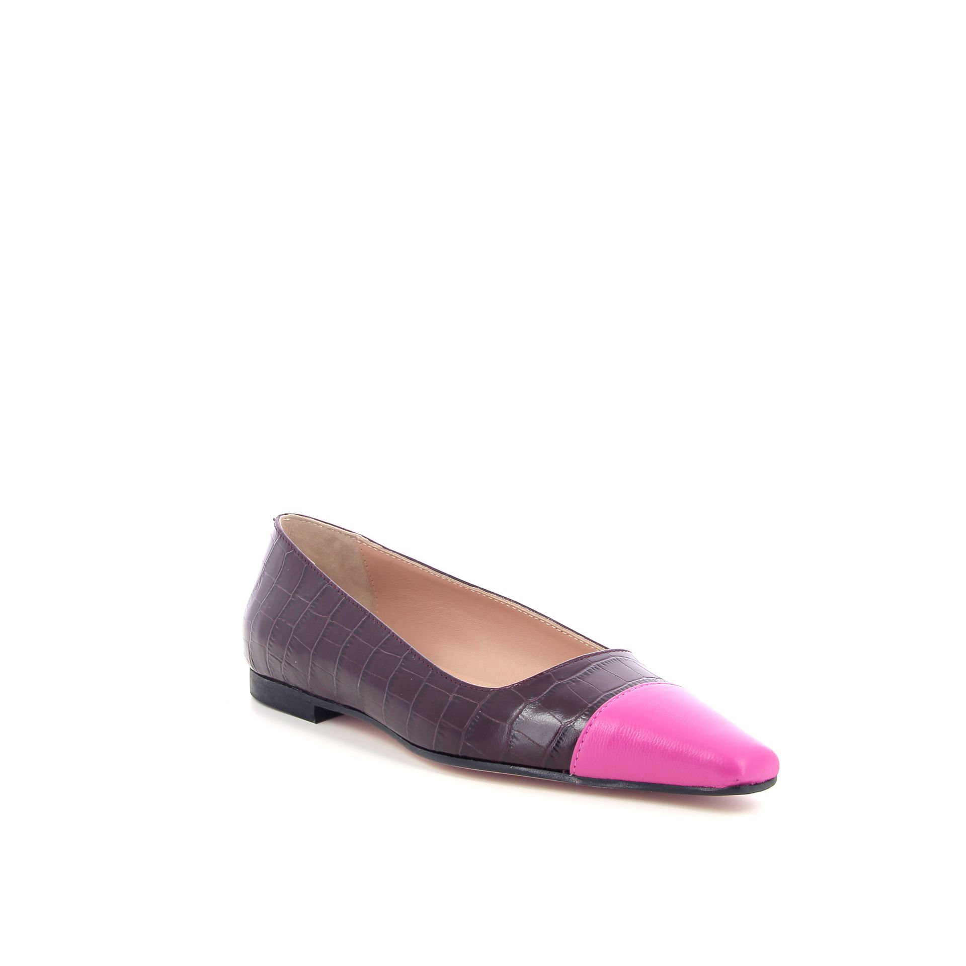 Cara Rosa Nina 260306 rood