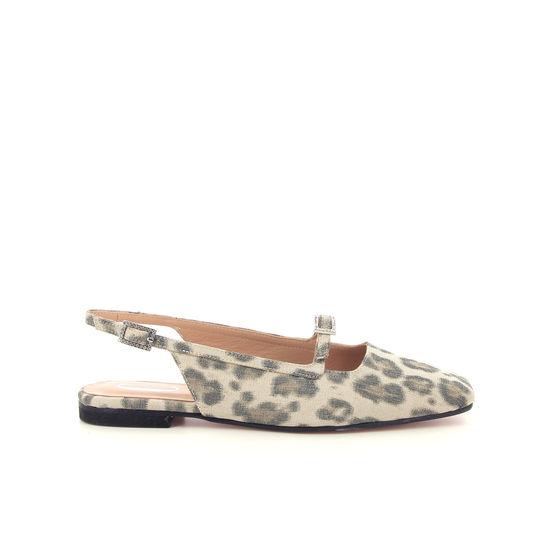 Cara Rosa Carlotta 260309 cognac