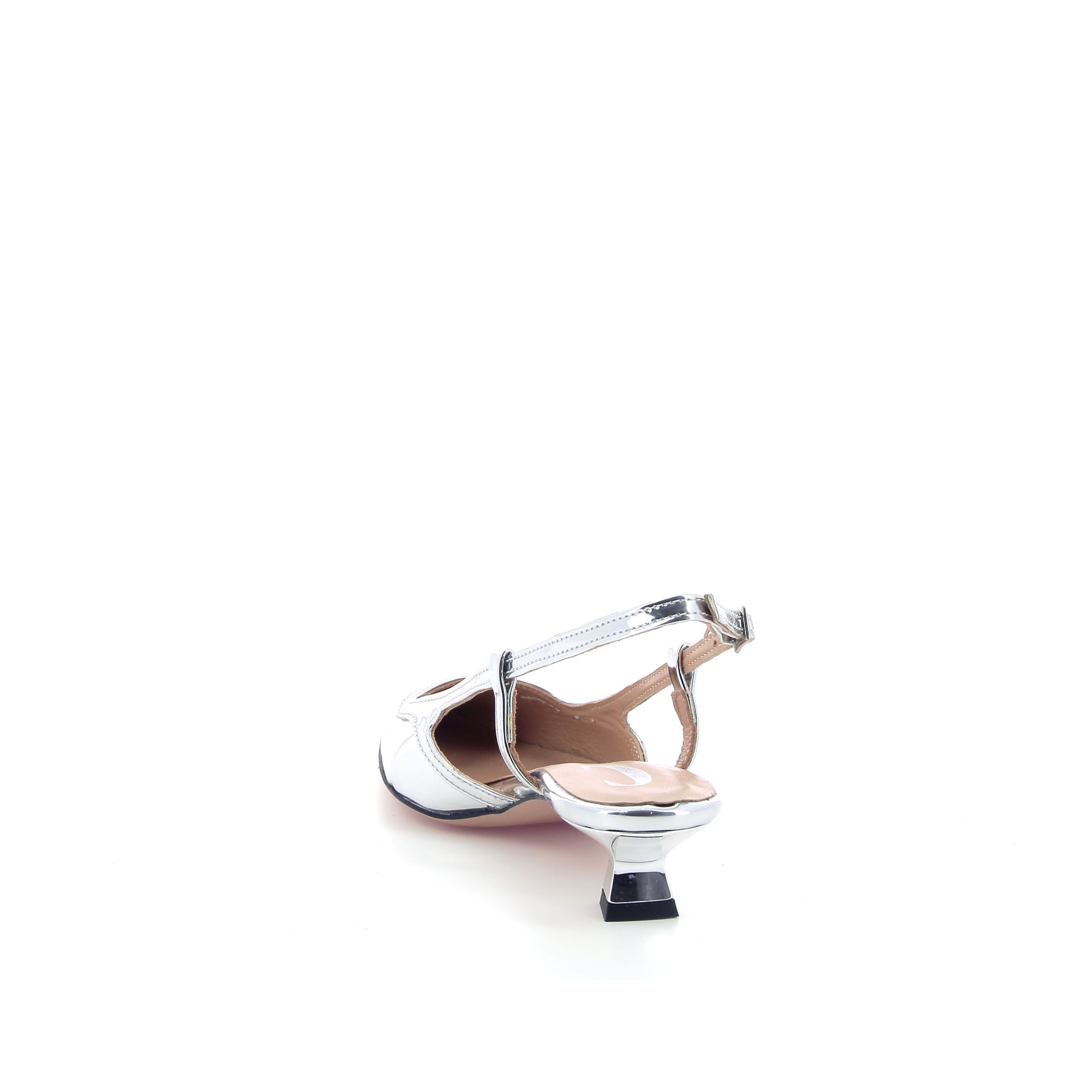 Cara Rosa Laura 260312 zilver
