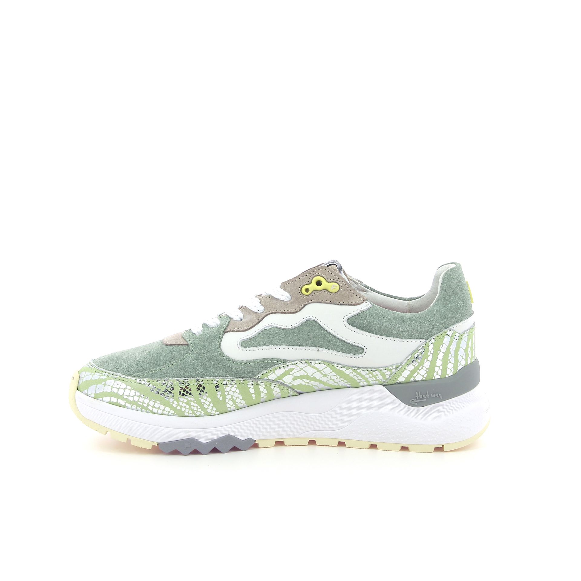 Floris Van Bommel Treni 260342 groen