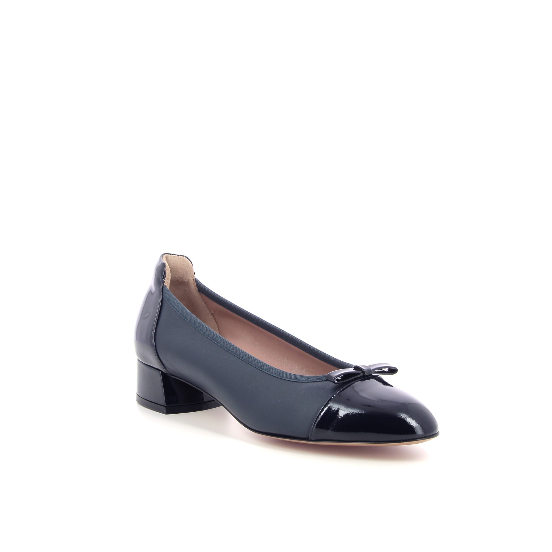 Voltan Pump 260805 blauw