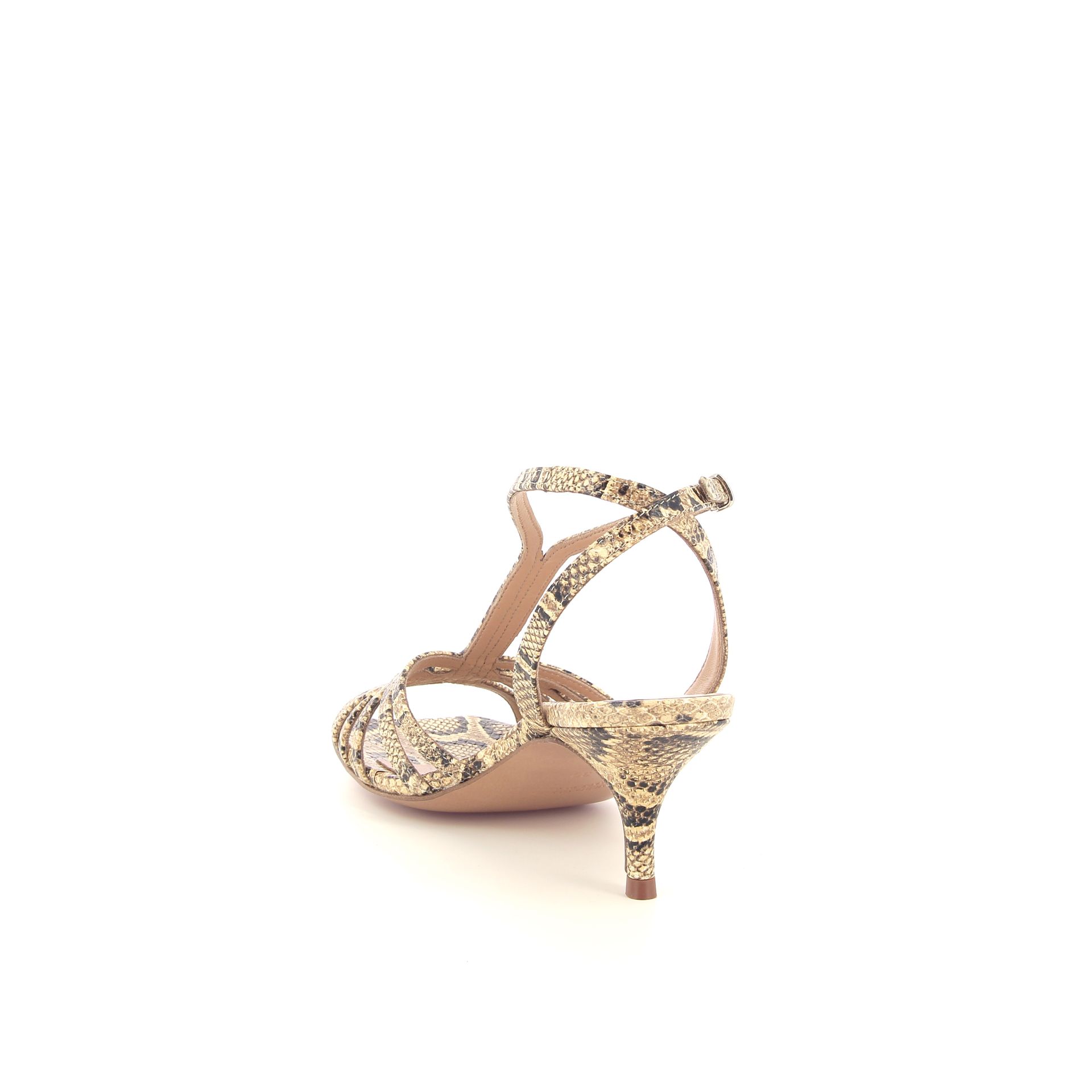 Guglielmo Rotta Aureliane 261149 cognac