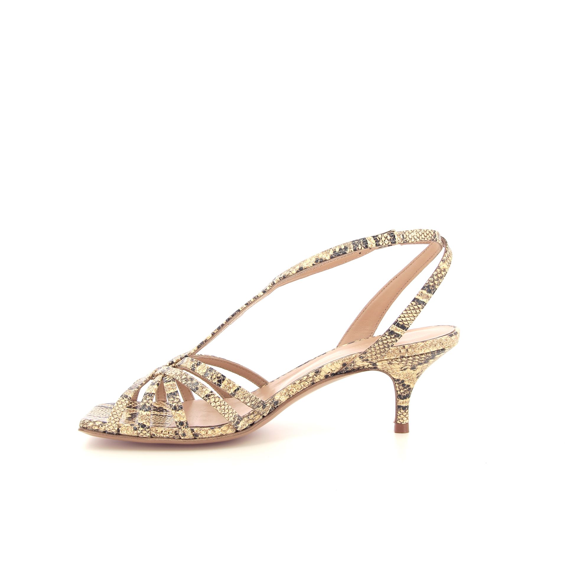 Guglielmo Rotta Aureliane 261149 cognac