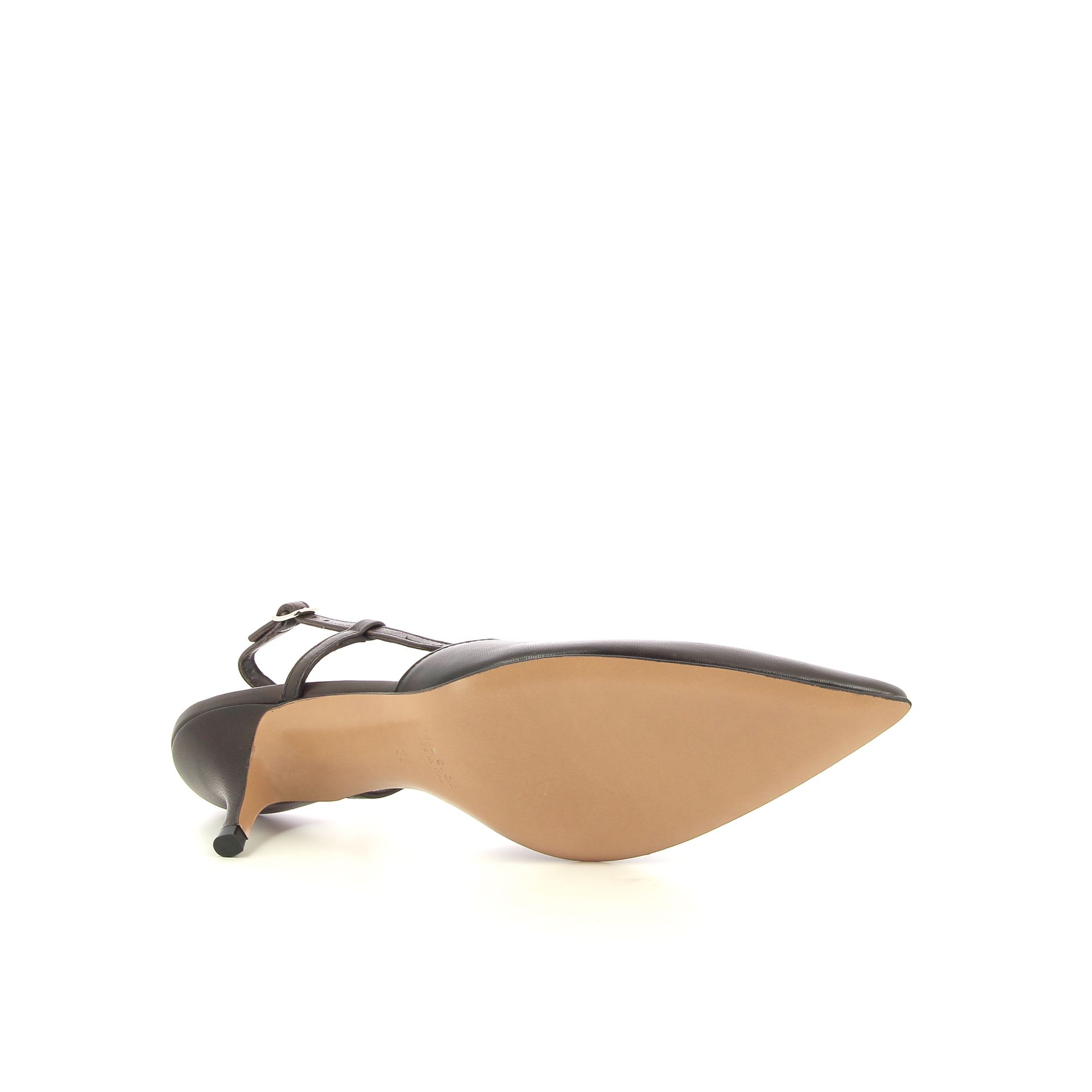 Guglielmo Rotta Angel 261158 bruin