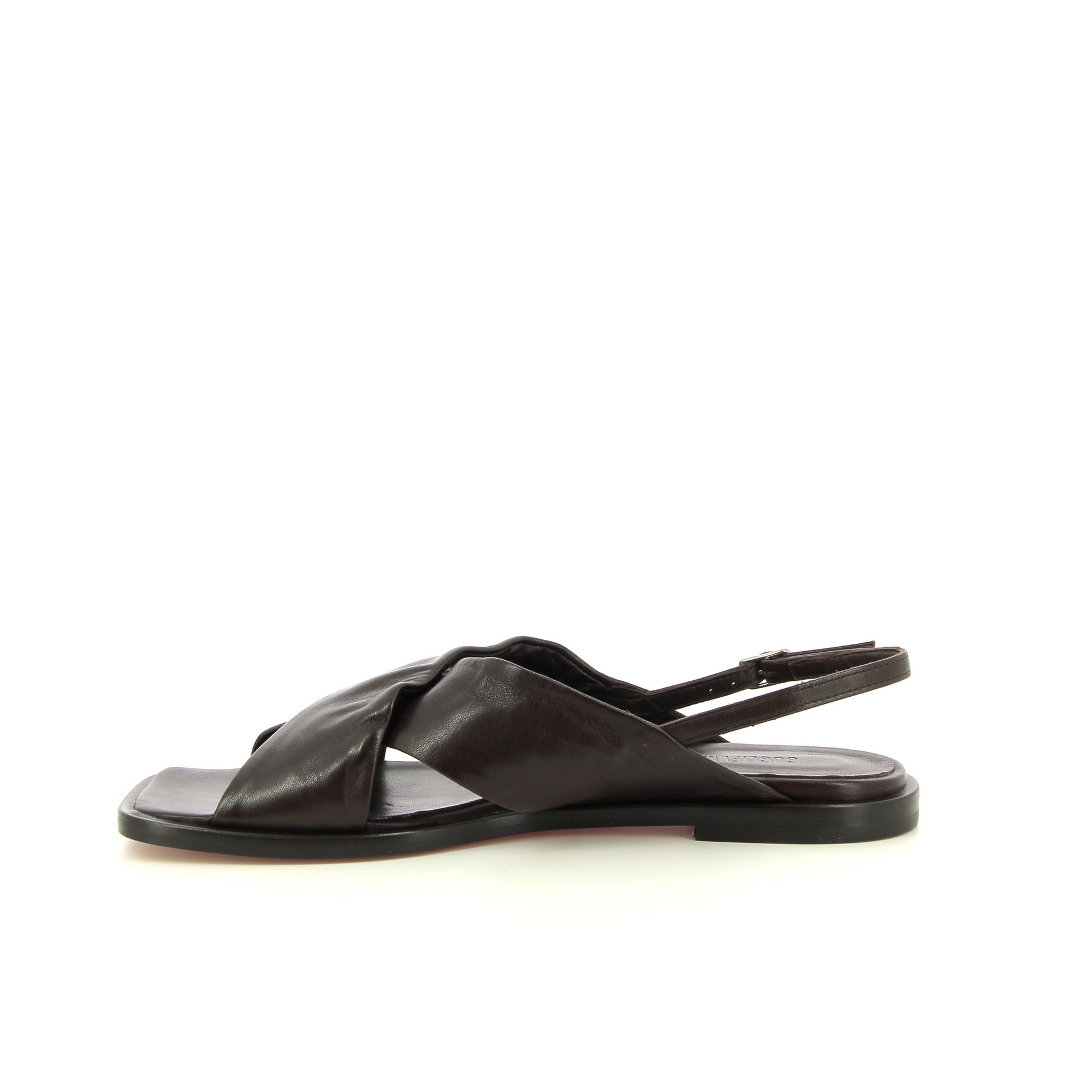 Guglielmo Rotta Tibs 261168 bruin