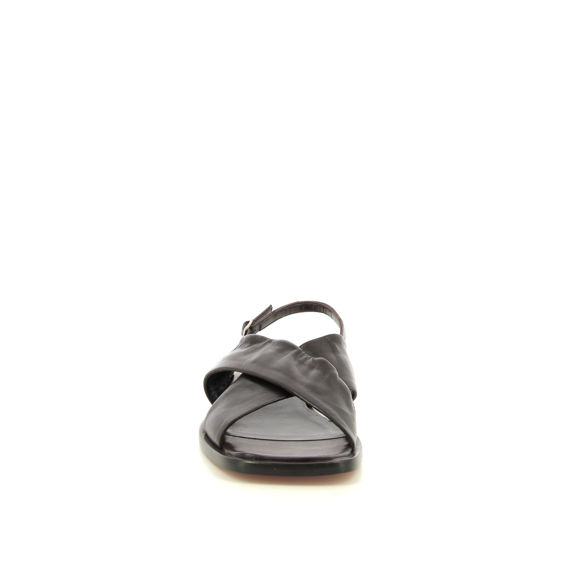 Guglielmo Rotta Tibs 261168 bruin