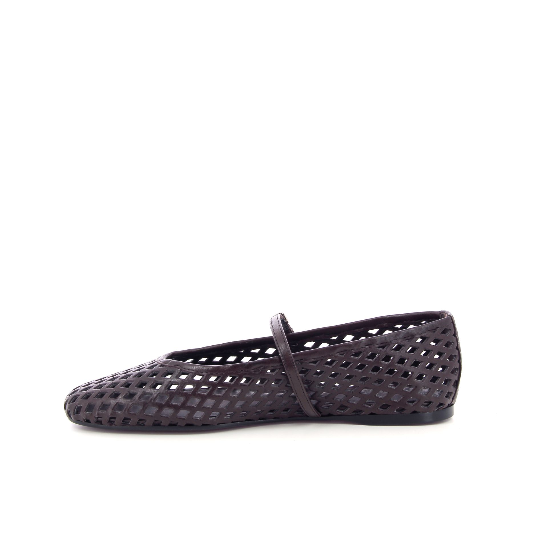 Guglielmo Rotta Syl 261181 bruin