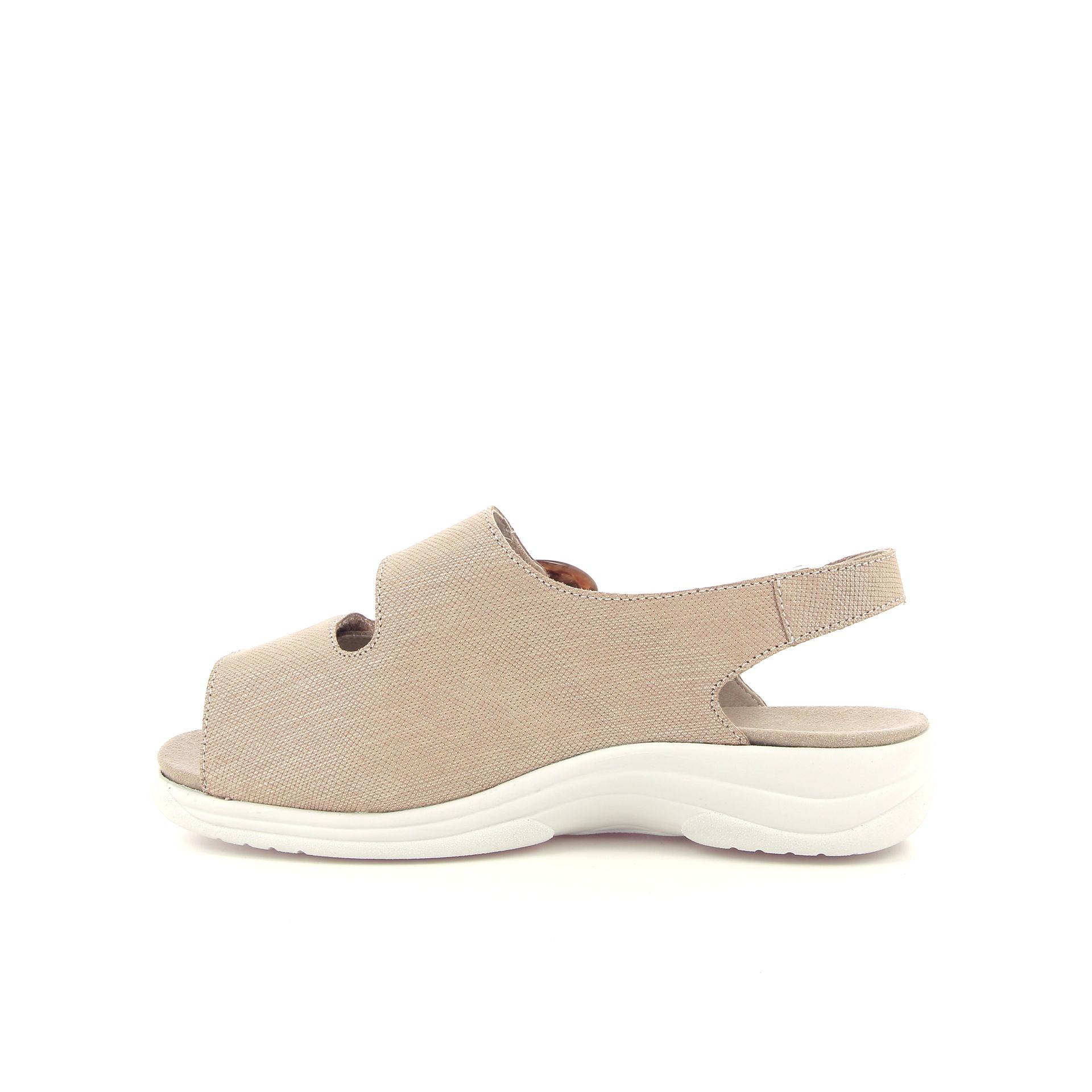 Solidus Moni 261379 cognac