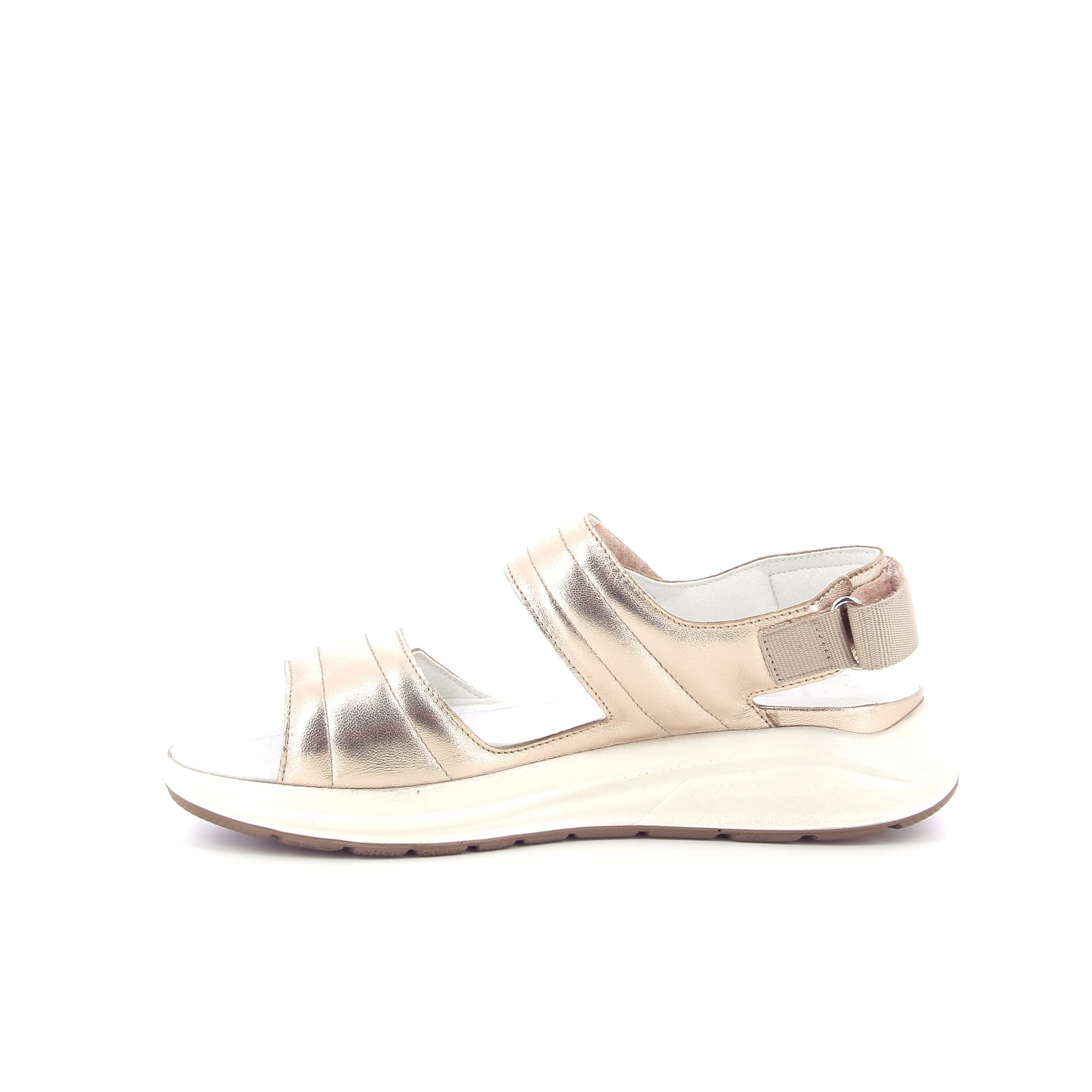 Solidus Hetty 261388 goud