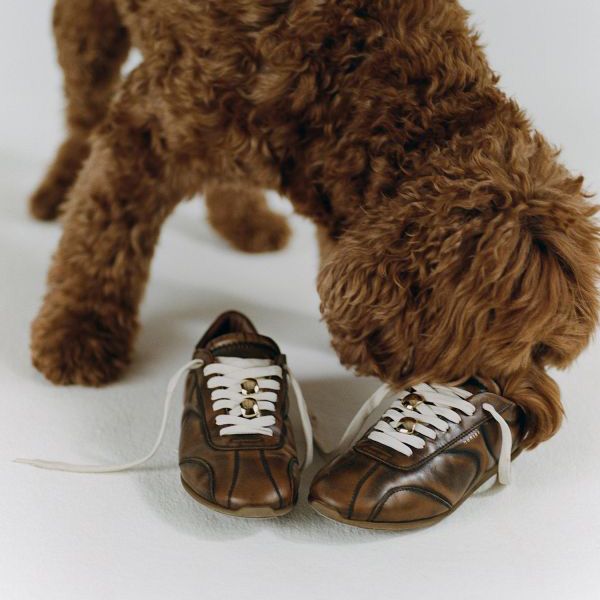 Nubikk Riley Rush 261478 bruin