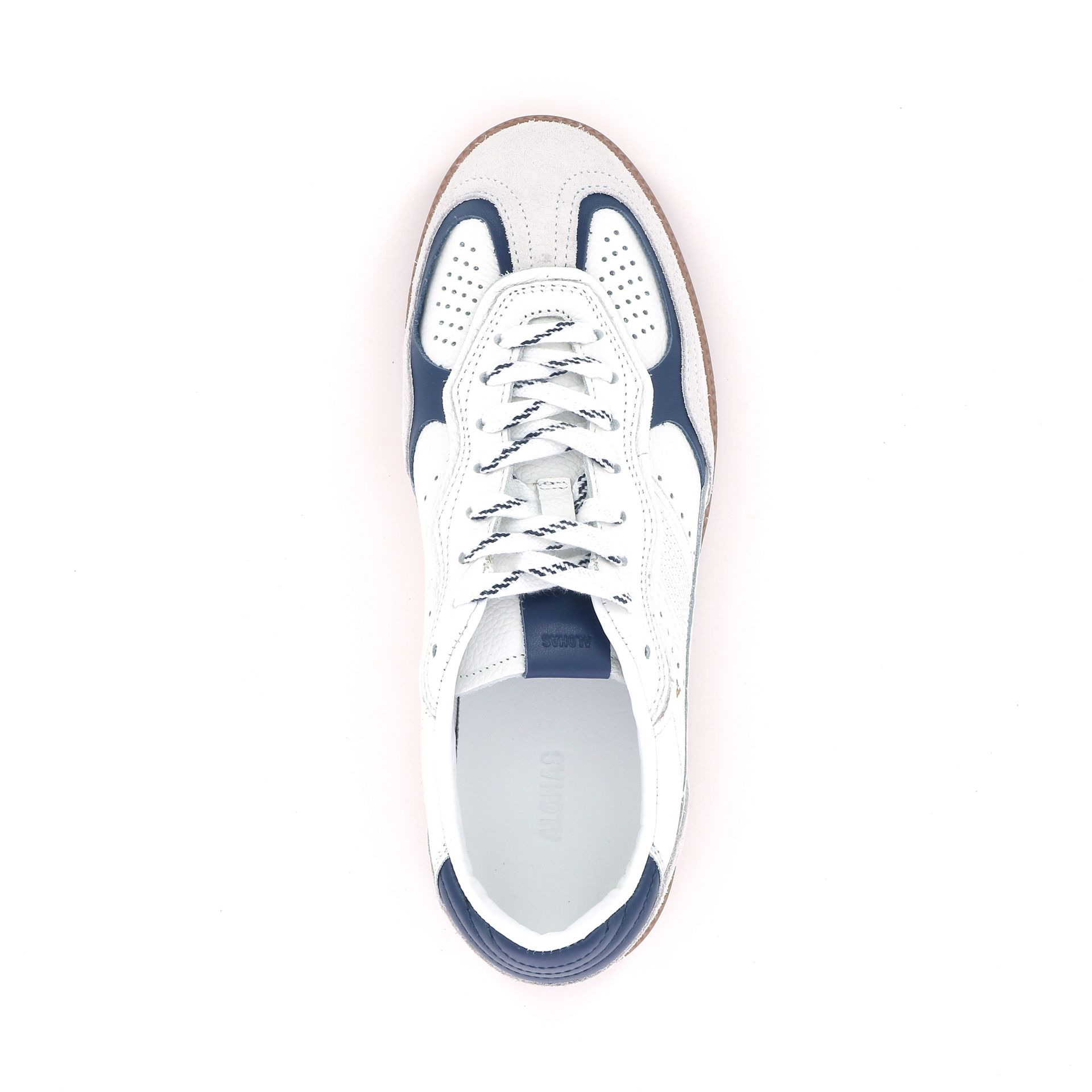 Alohas Tb.490 261482 wit