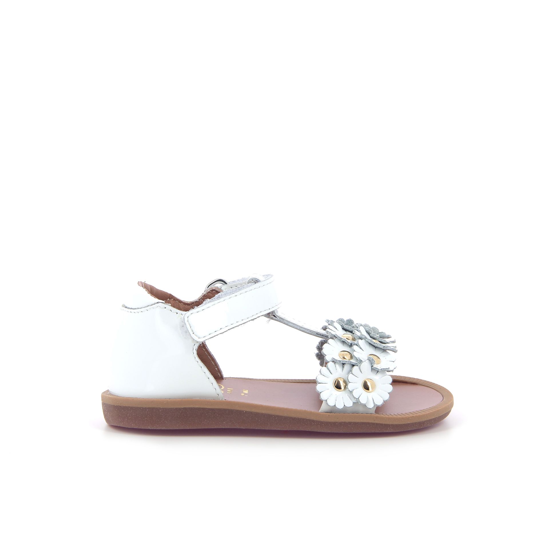 Pom D'api Poppy Flowers 261597 wit