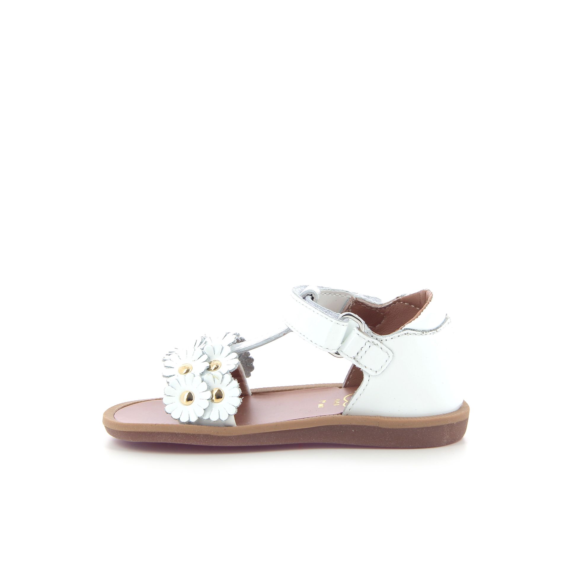 Pom D'api Poppy Flowers 261597 wit