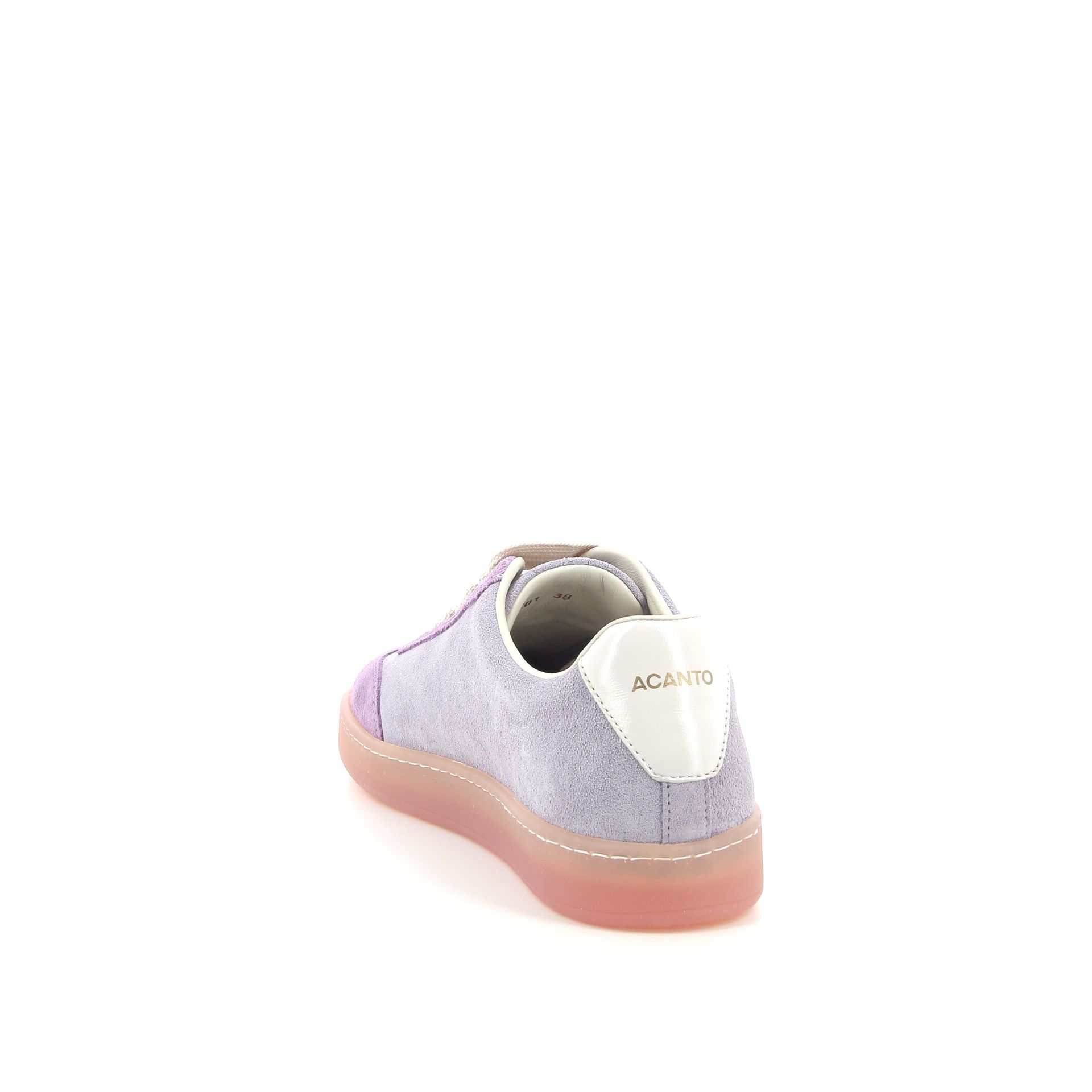 Acanto Acanto 261758 roze