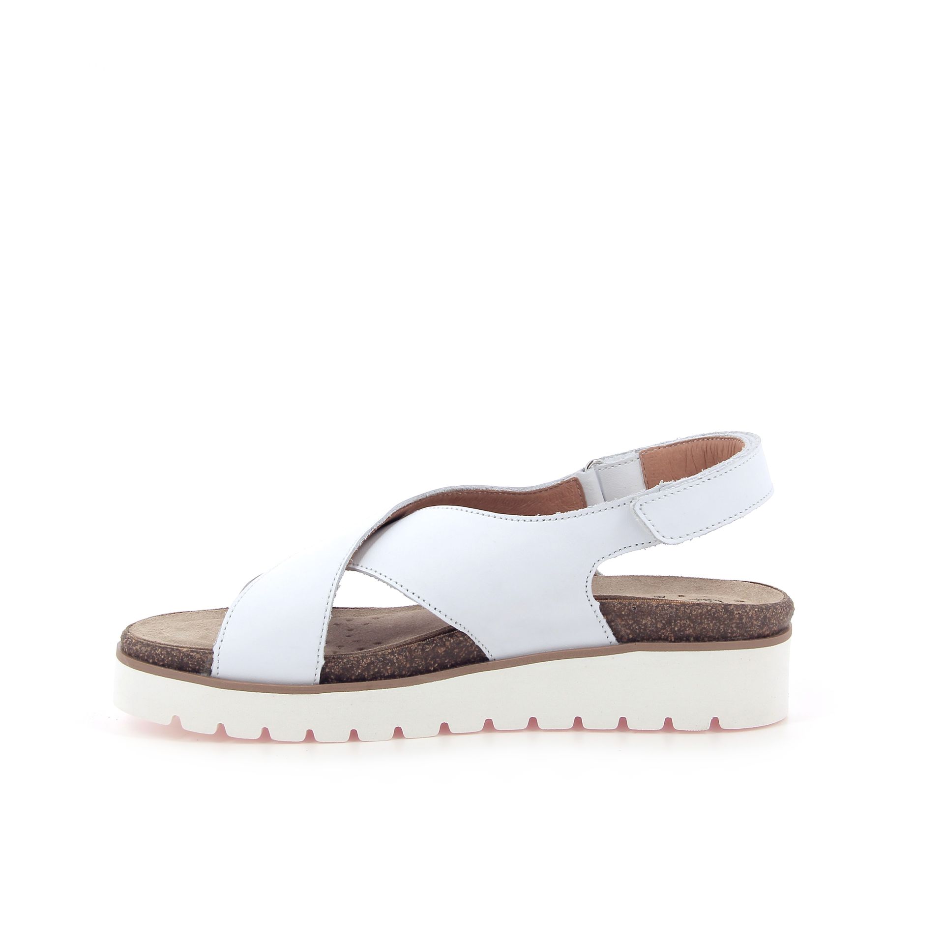 Mephisto Tally 261822 wit