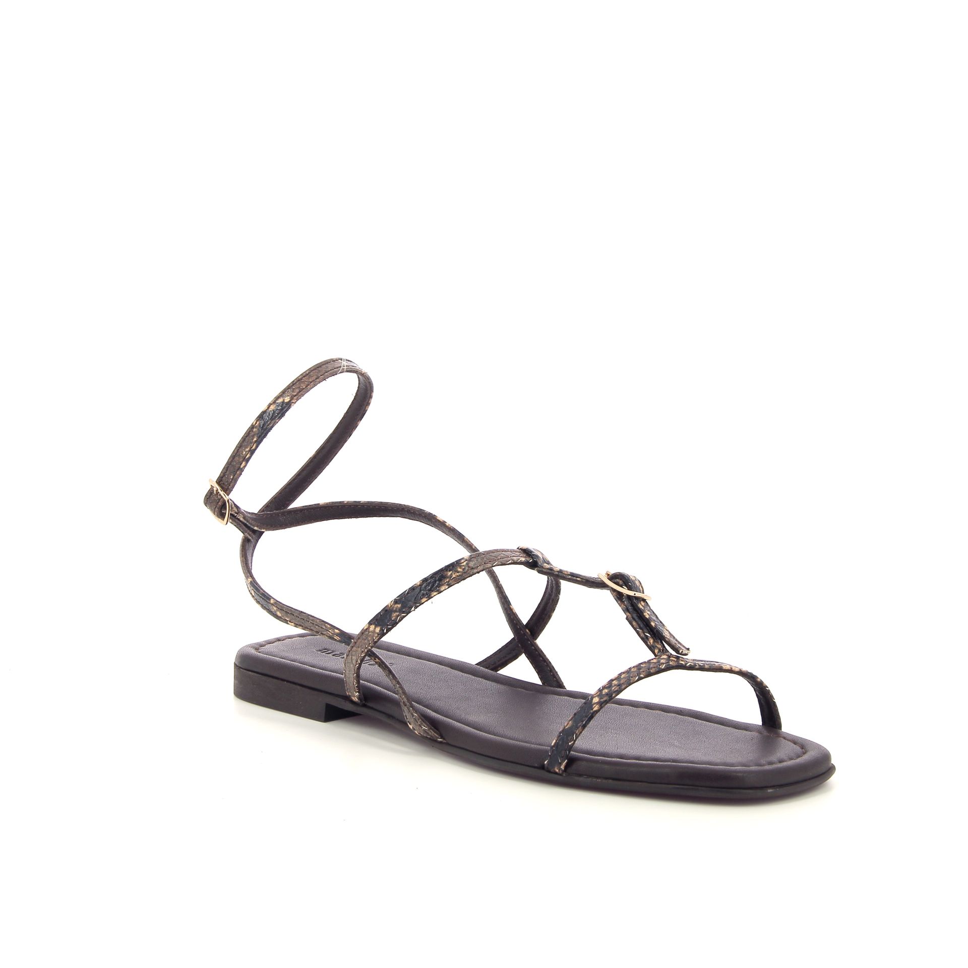 March23 Monte Negro 262118 bruin