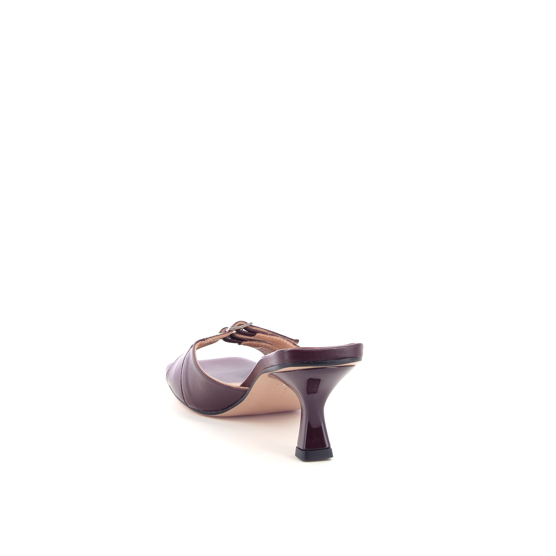 Cara Rosa Giulia 262288 rood