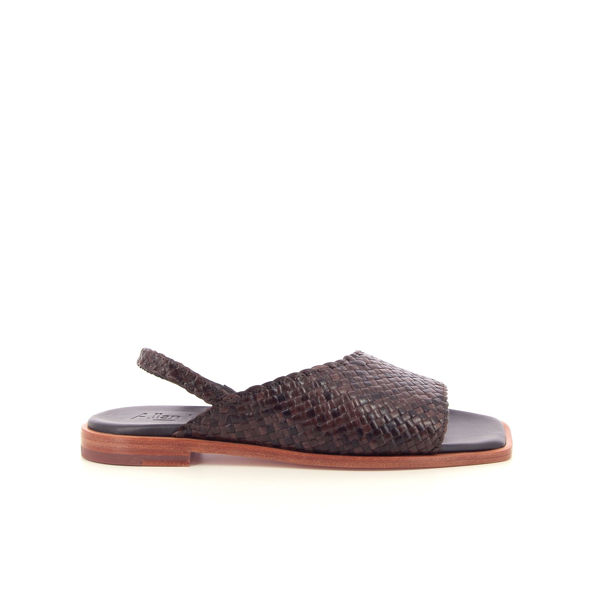 Allan K Winnie 262308 bruin