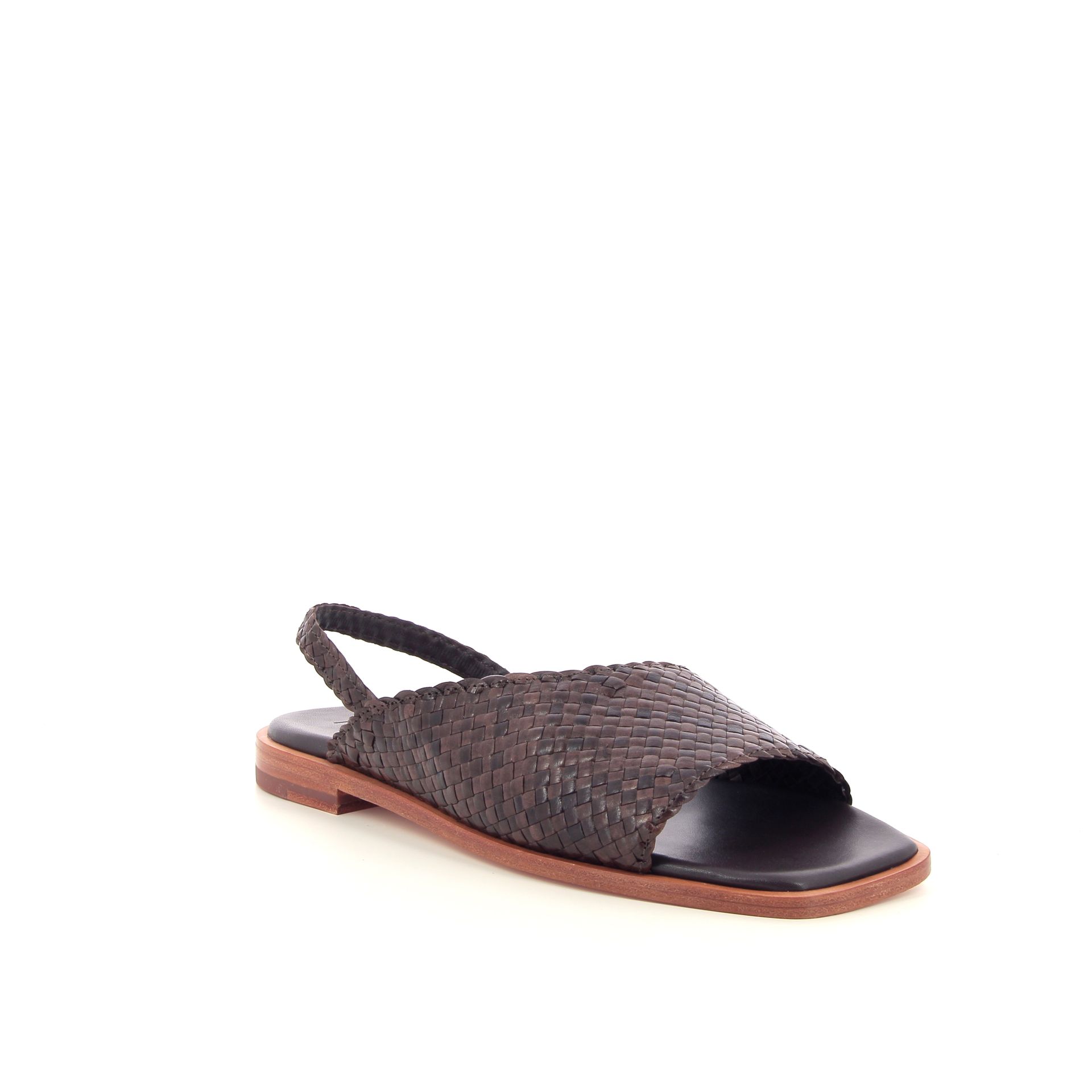 Allan K Winnie 262308 bruin