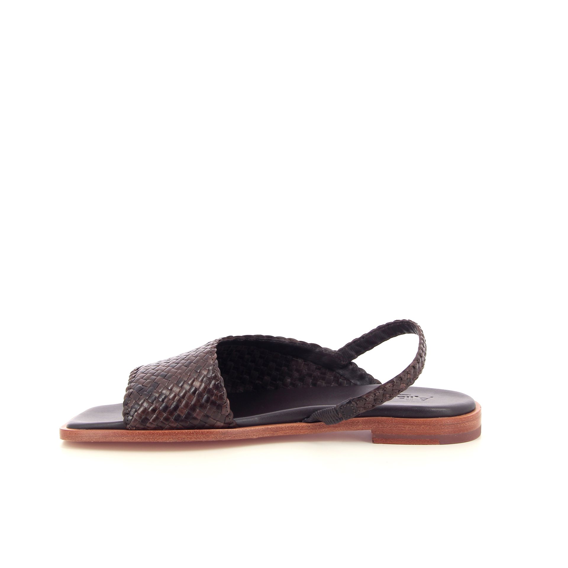 Allan K Winnie 262308 bruin