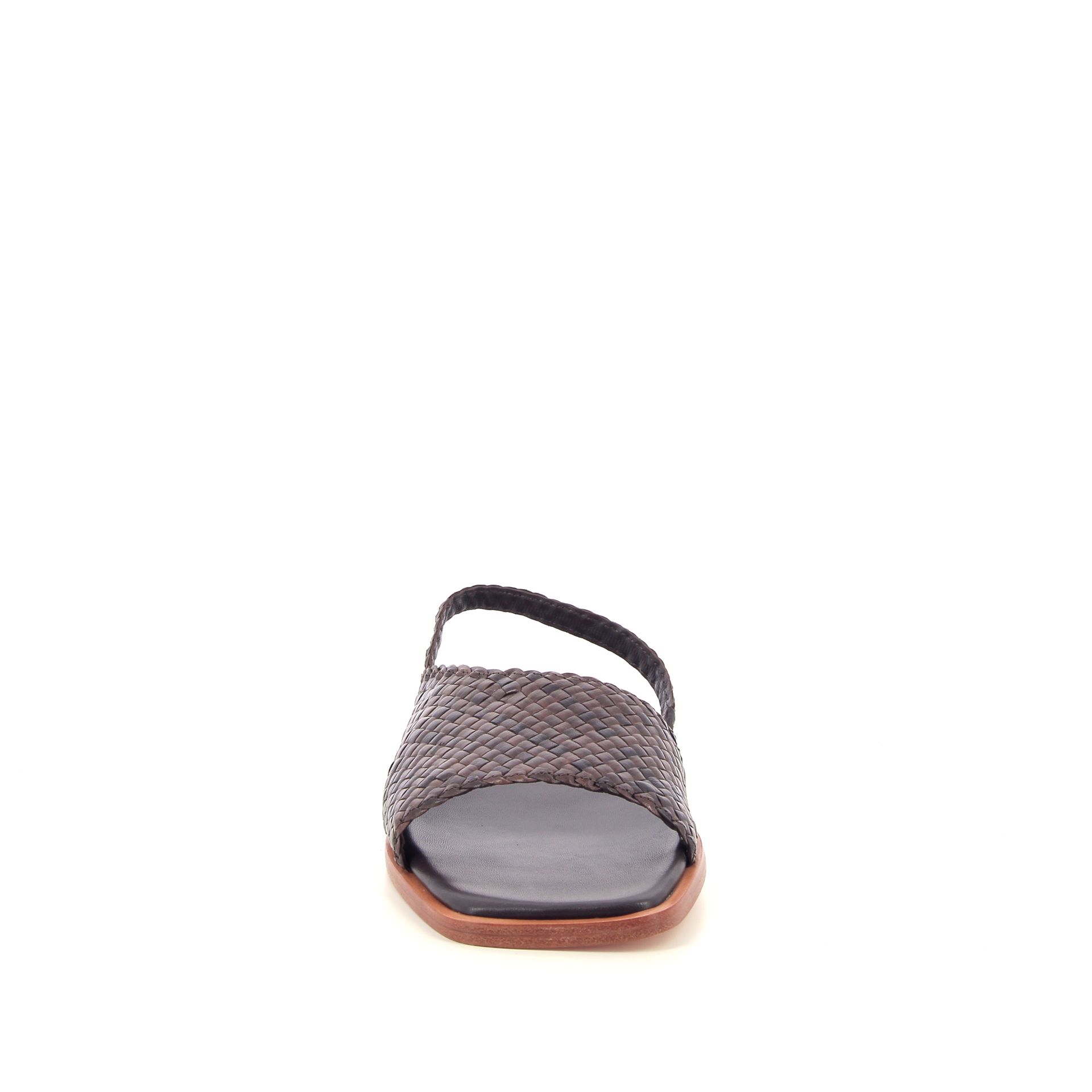 Allan K Winnie 262308 bruin