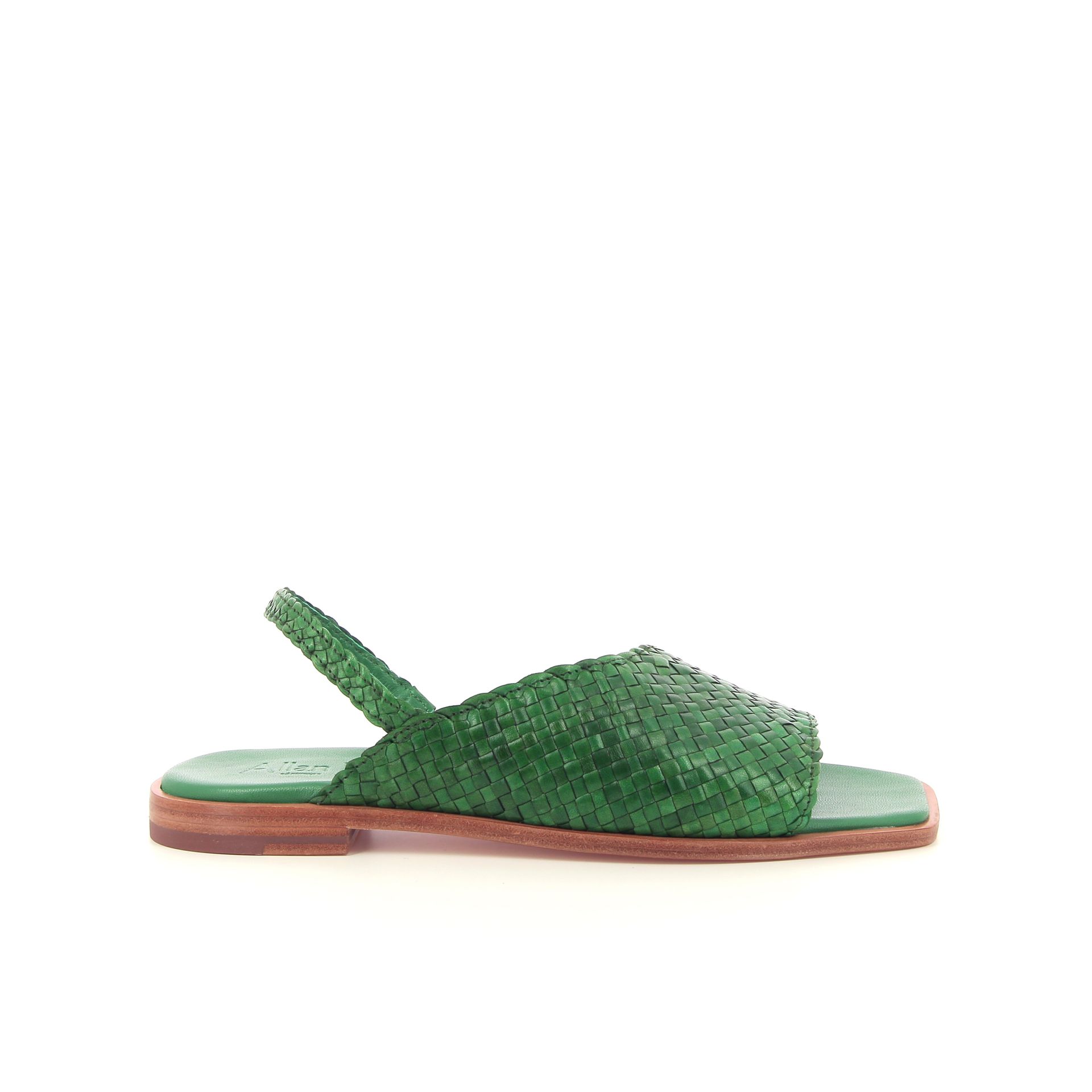 Allan K Winnie 262309 groen