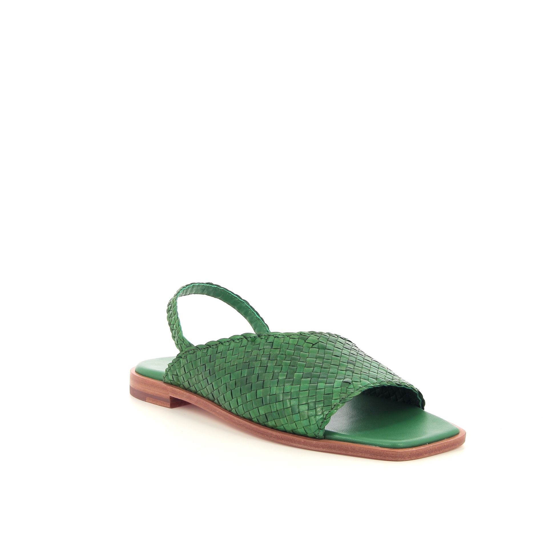 Allan K Winnie 262309 groen