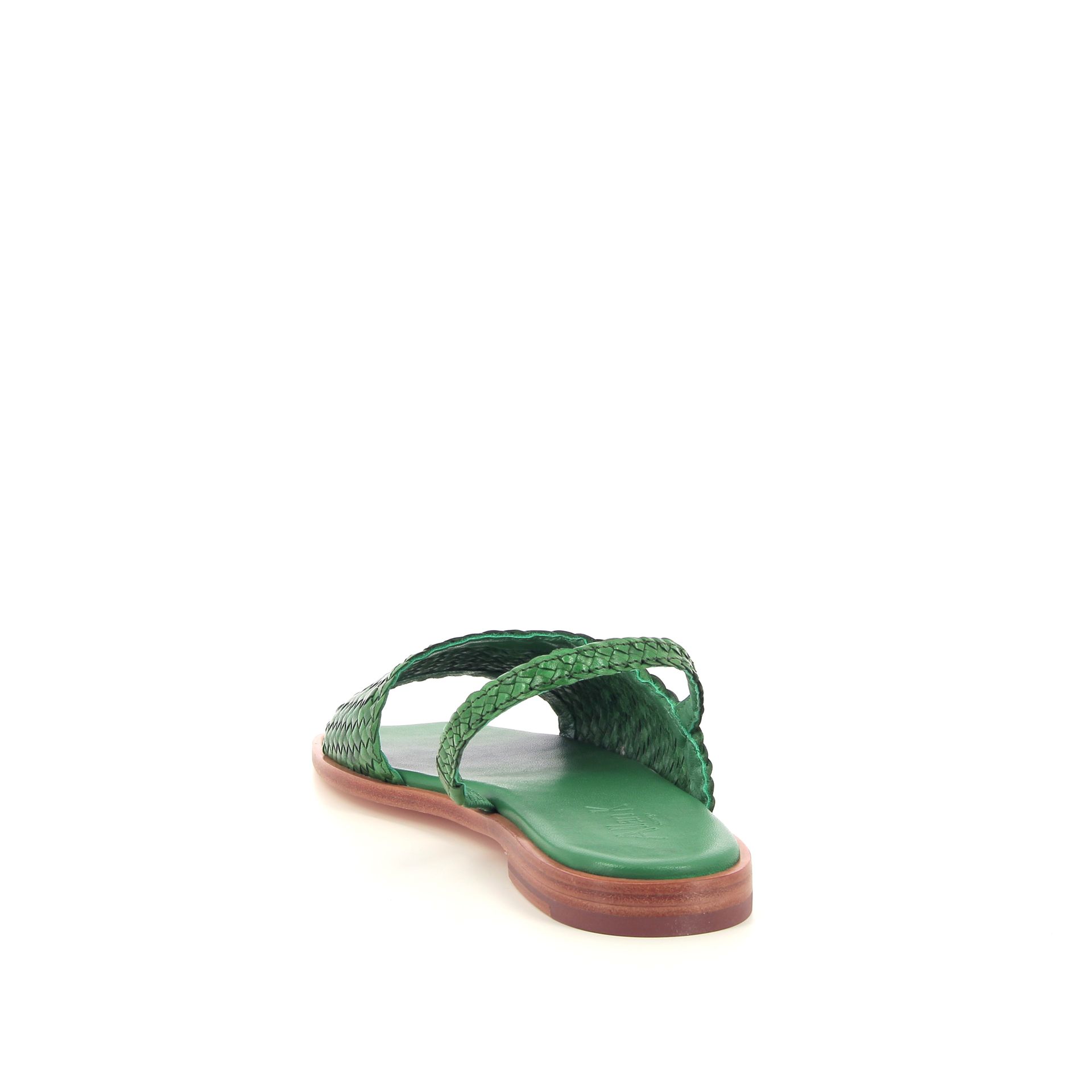 Allan K Winnie 262309 groen