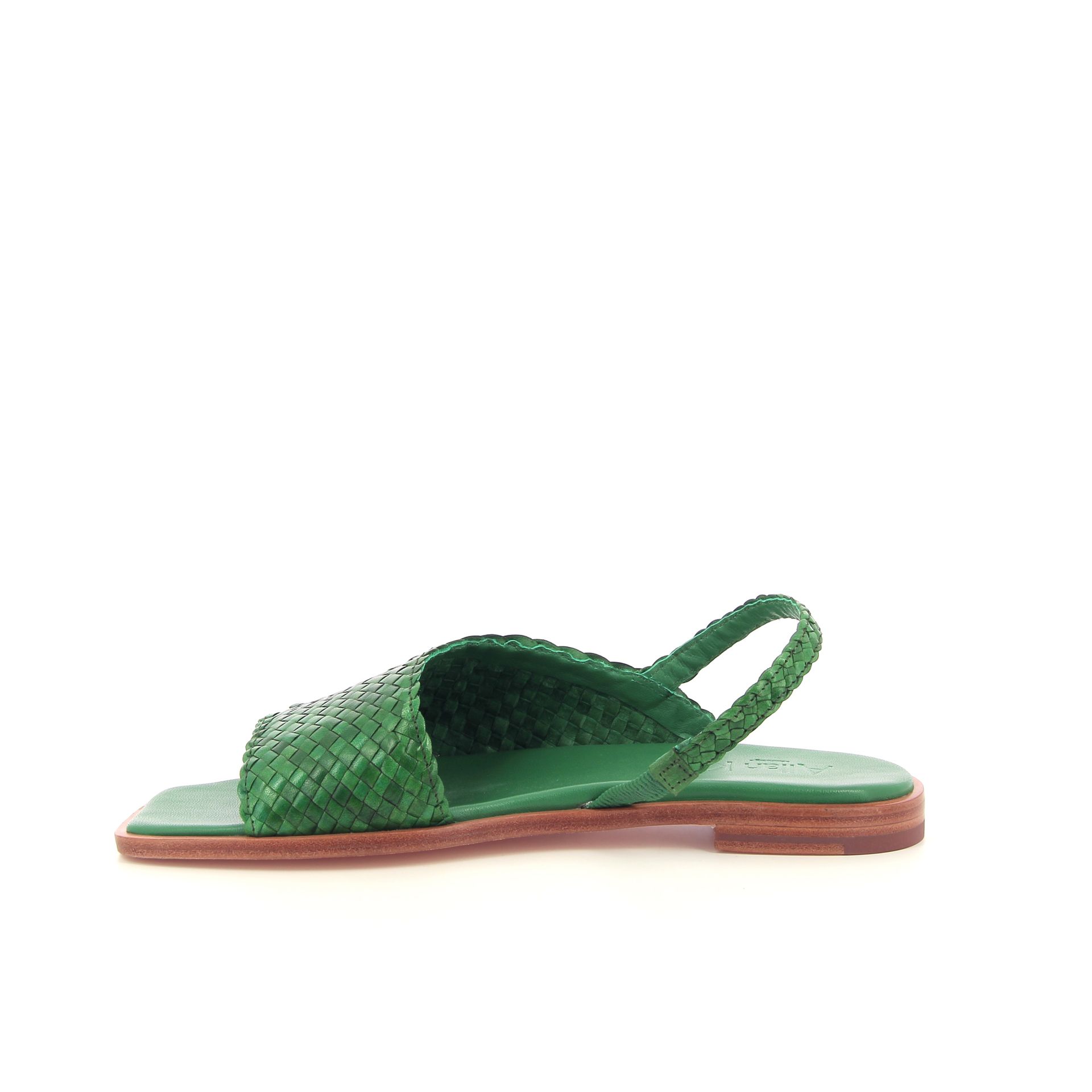 Allan K Winnie 262309 groen