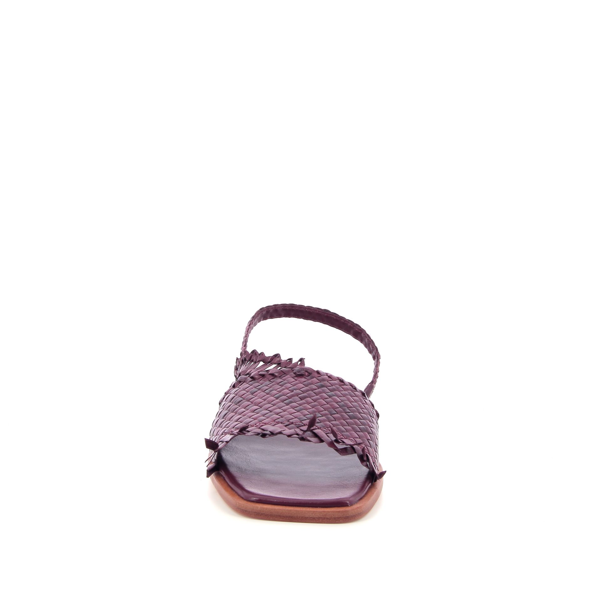 Allan K Wallis 262310 rood