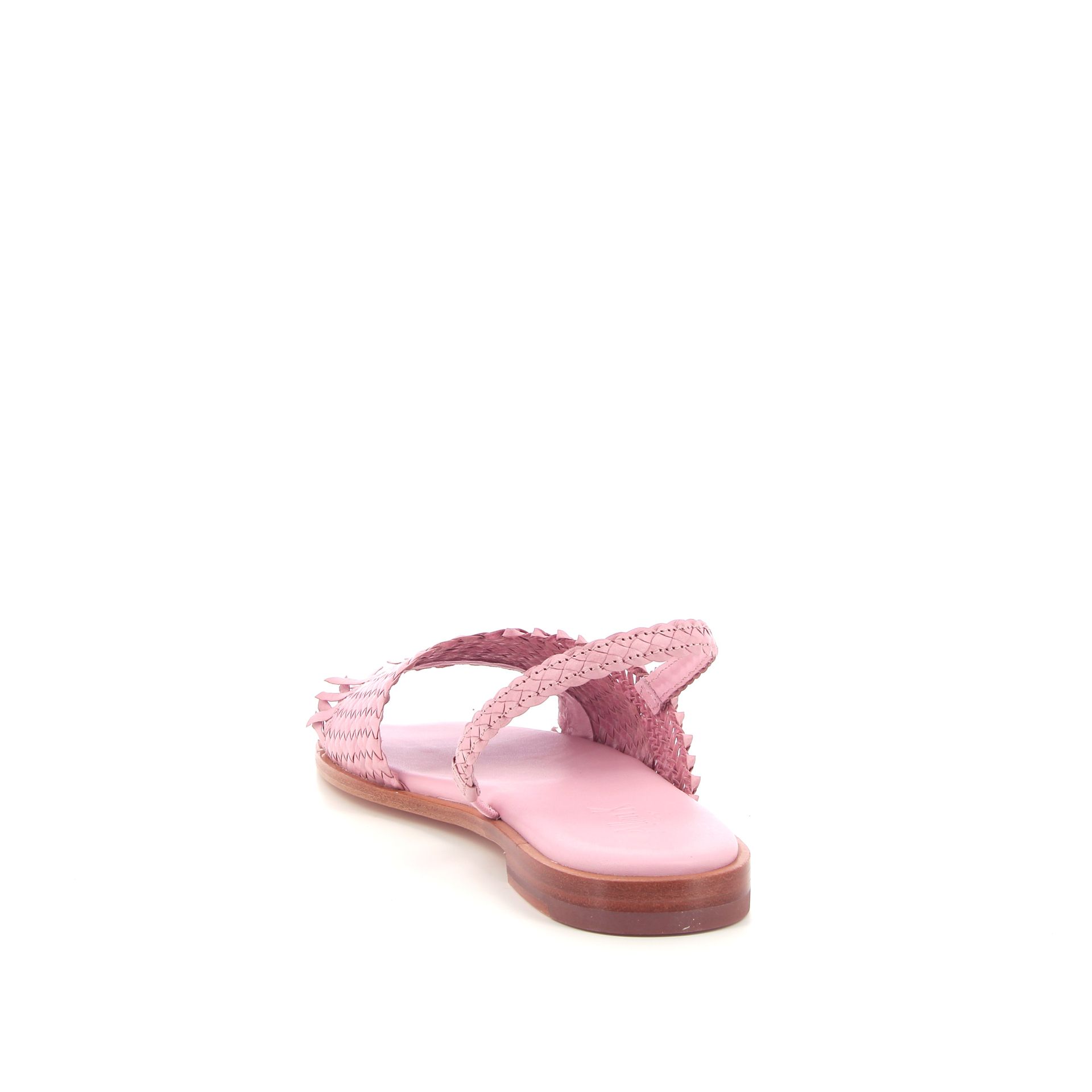 Allan K Wallis 262313 roze