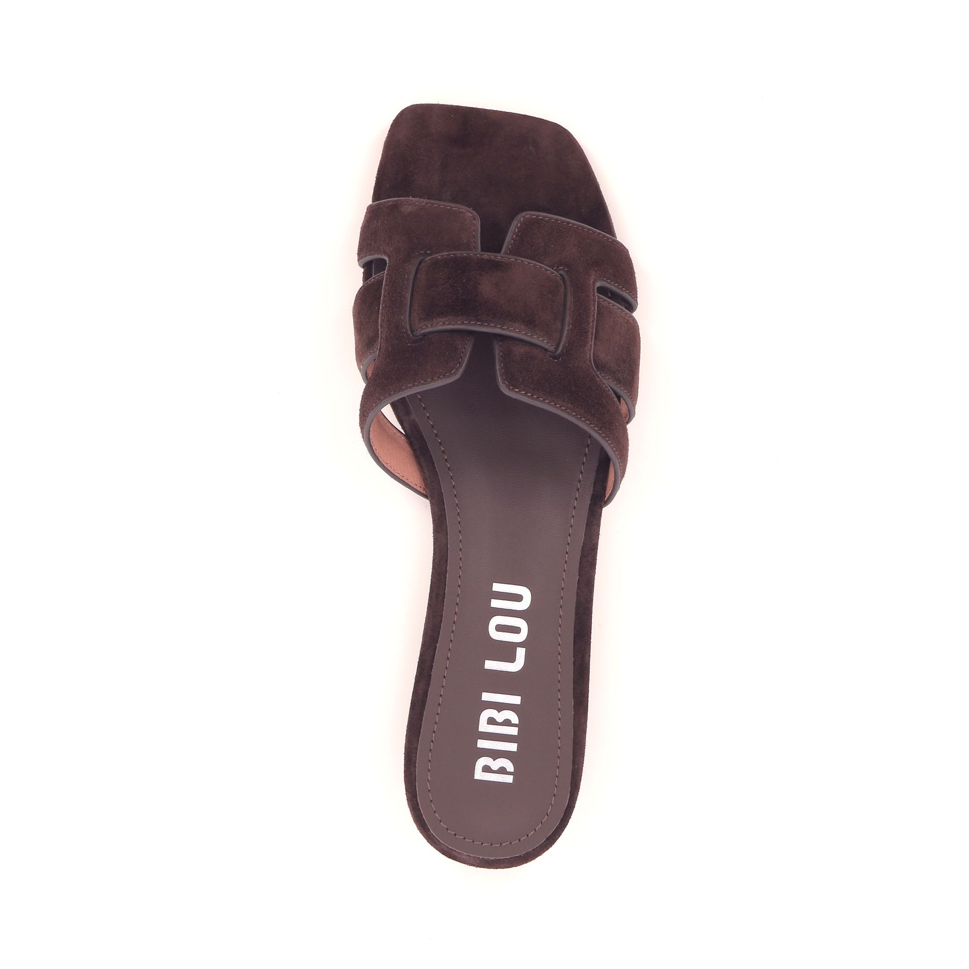 Bibi Lou Holly 262592 bruin