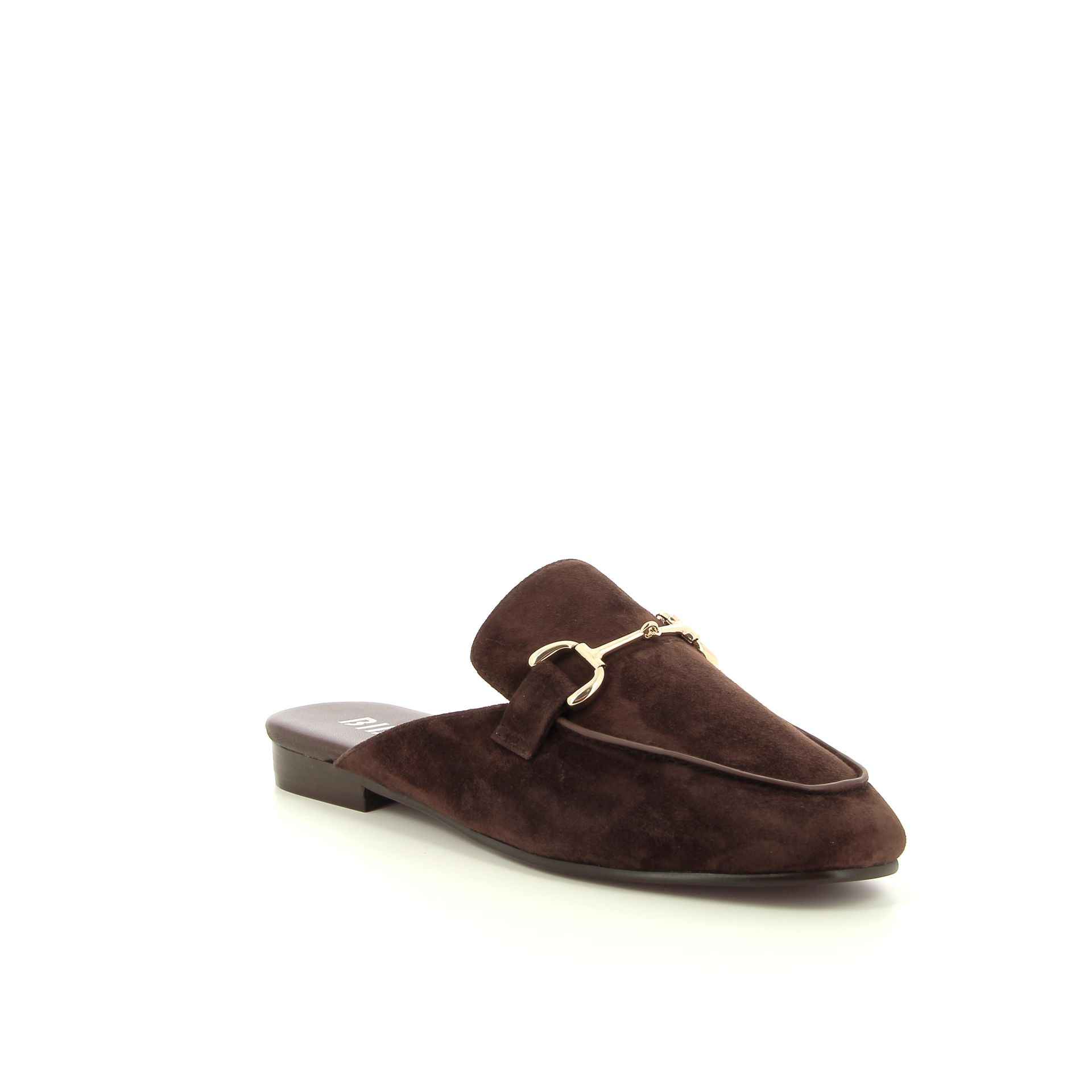 Bibi Lou Ashe 262601 bruin