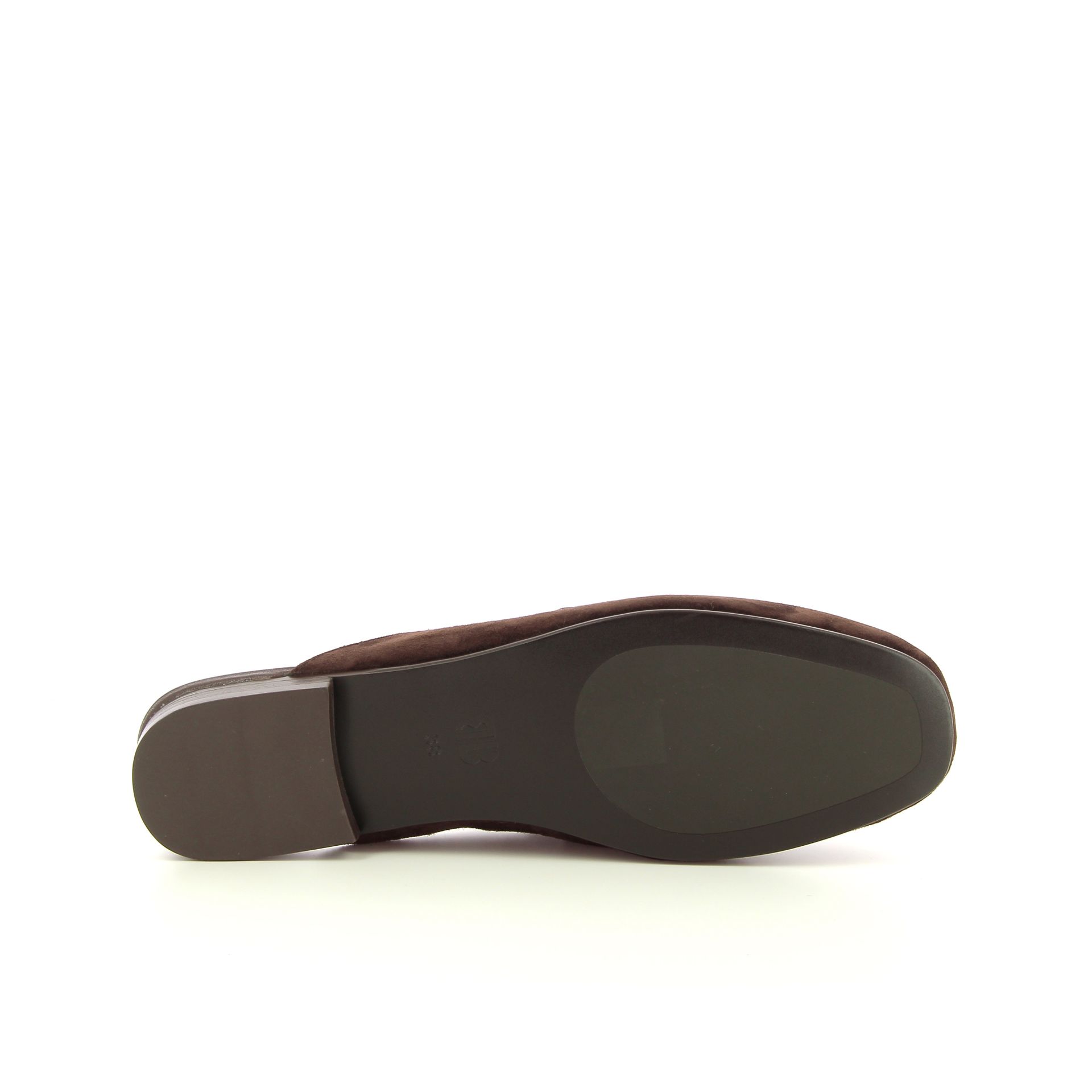 Bibi Lou Ashe 262601 bruin