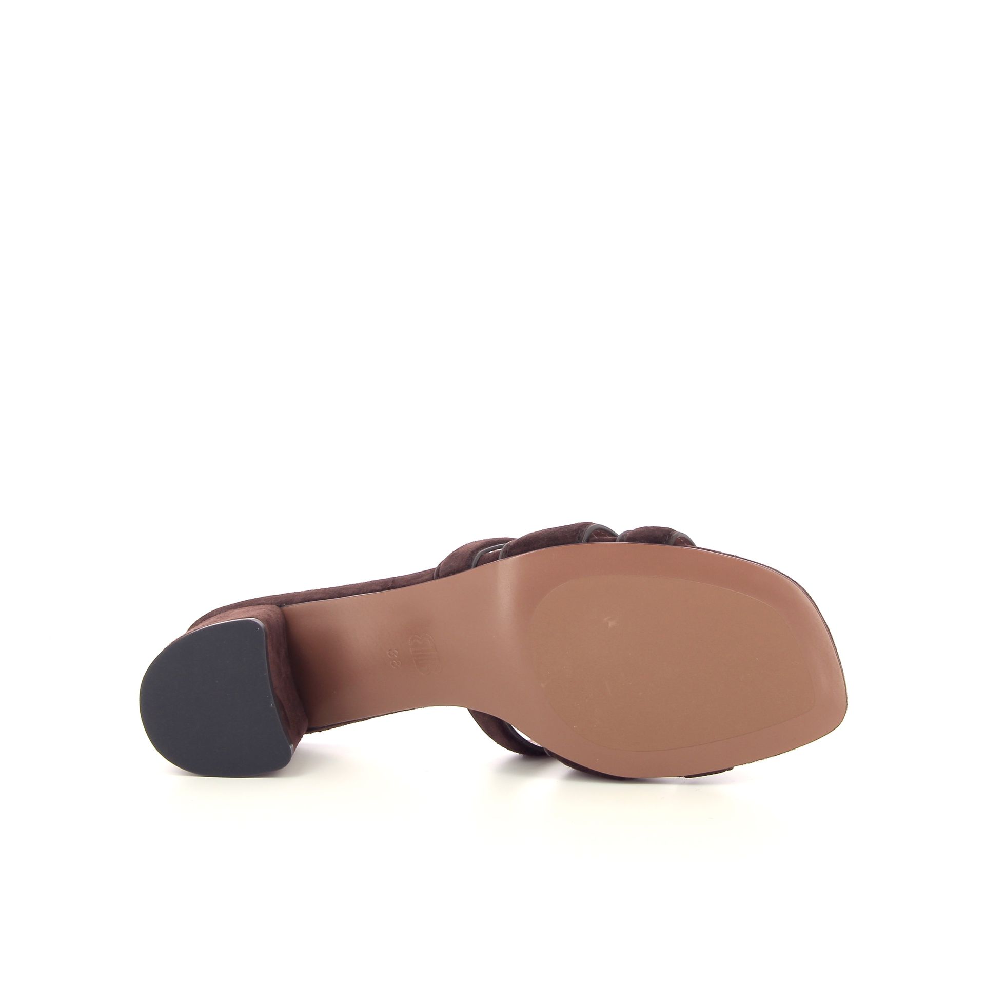 Bibi Lou Holly 262607 bruin