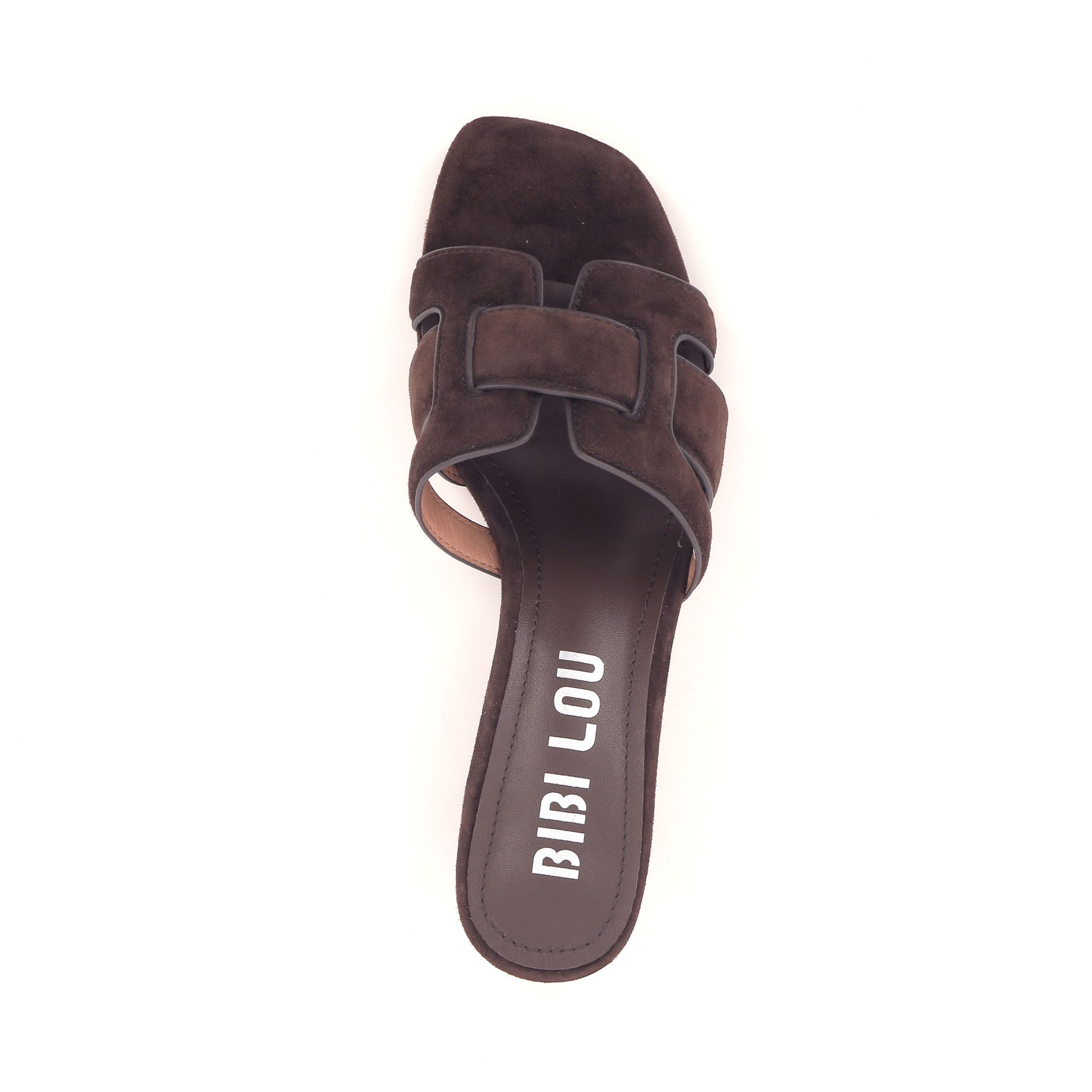 Bibi Lou Holly 262607 bruin