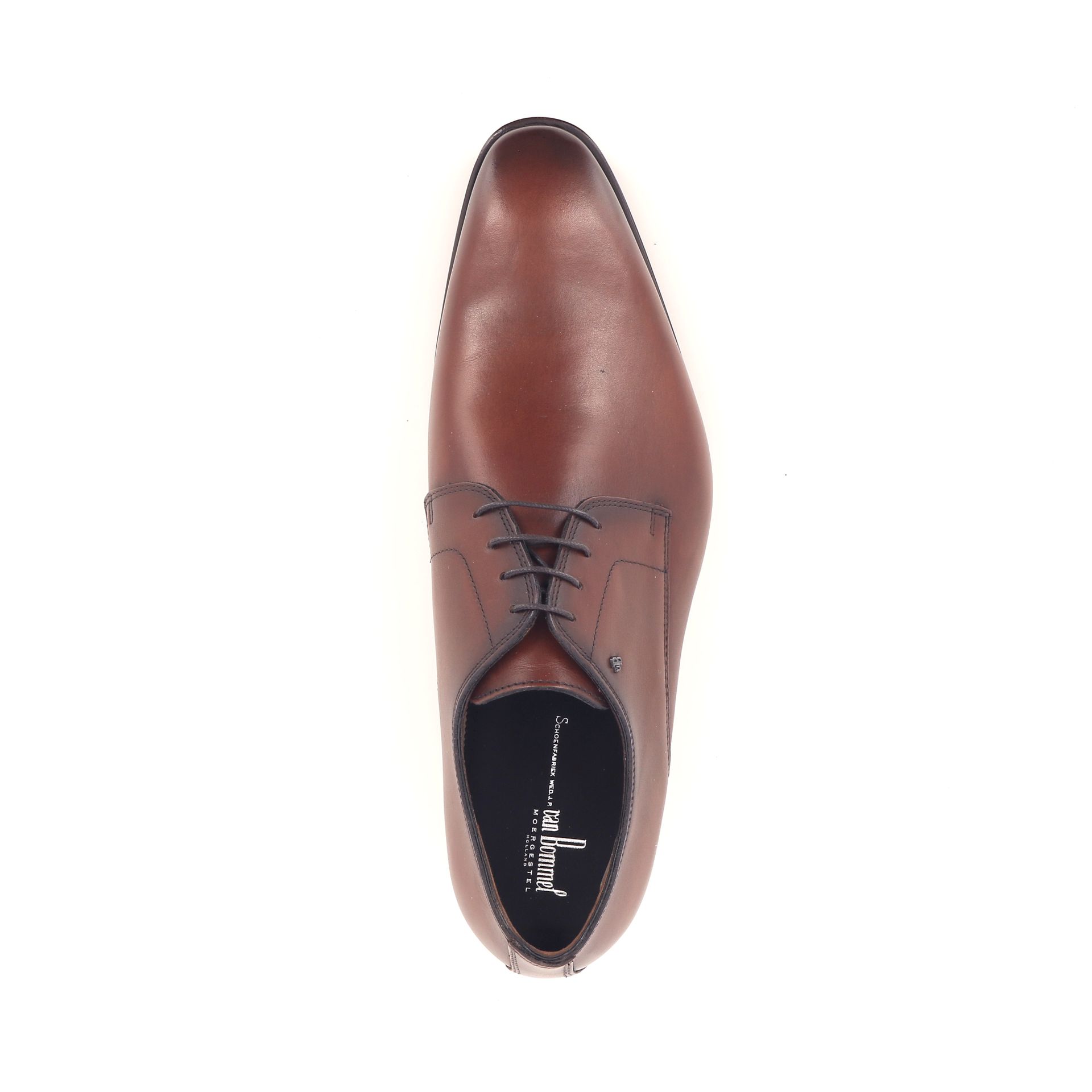 Van Bommel Raffa 03.00 262732 cognac