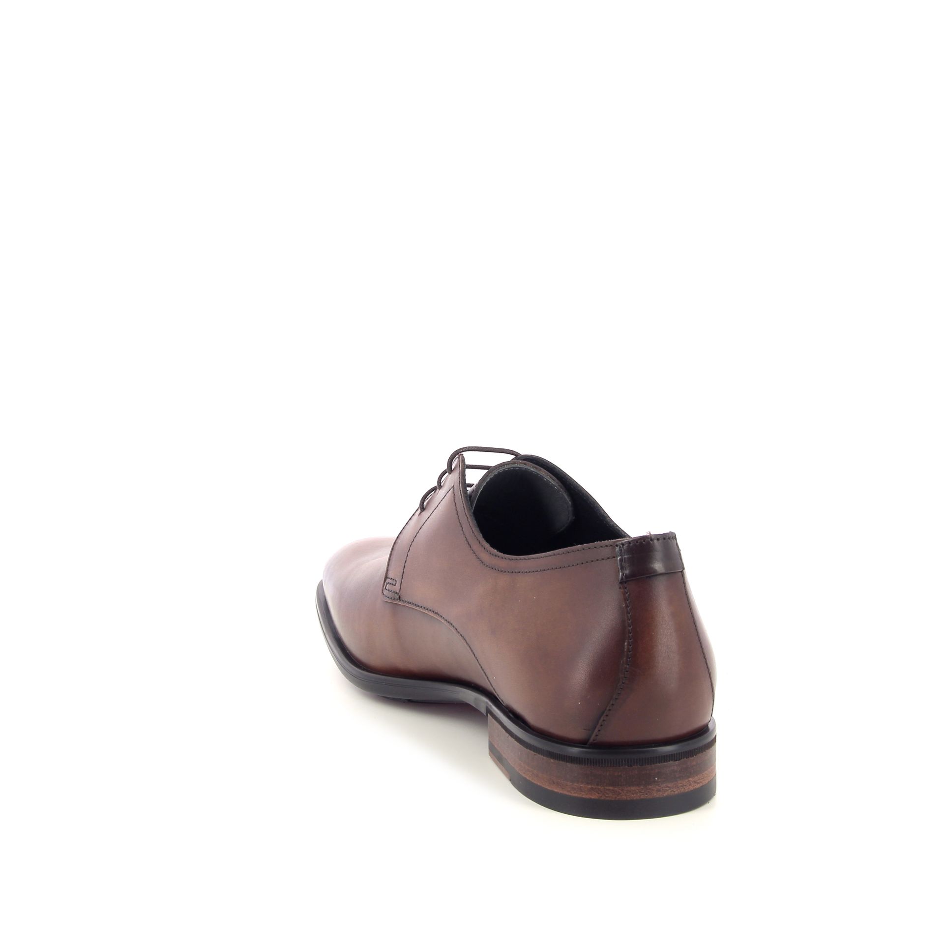 Van Bommel Terra 02.04 262736 bruin