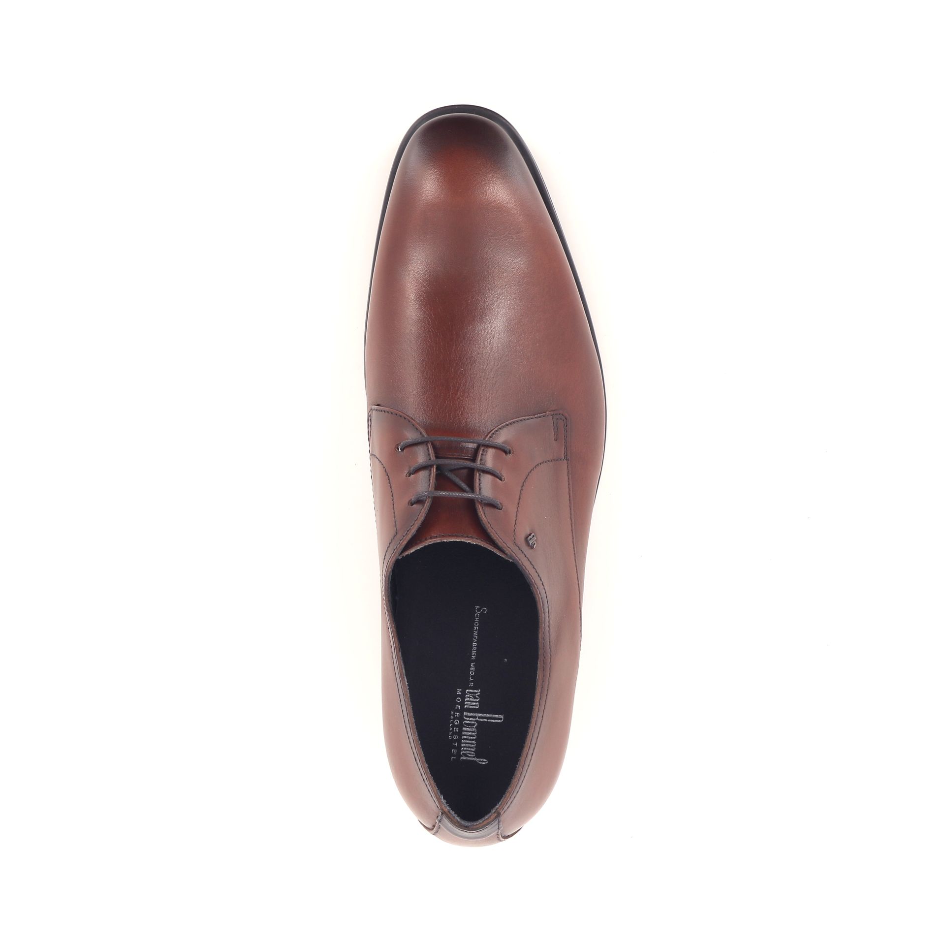 Van Bommel Terra 02.05 262737 cognac