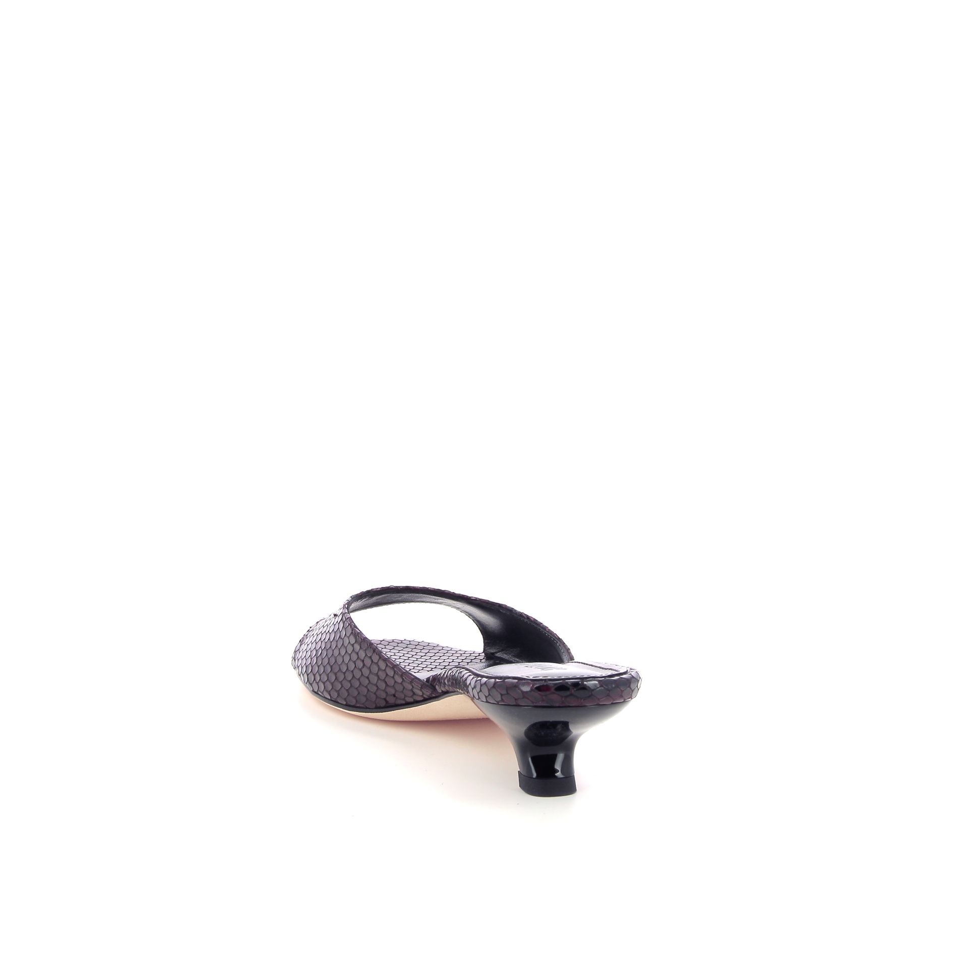 Rotue Wonder 262969 rood