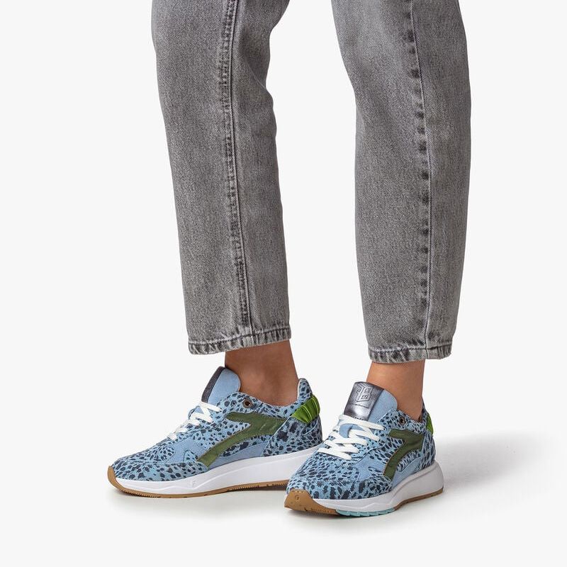 Floris Van Bommel Suvi 263310 blauw