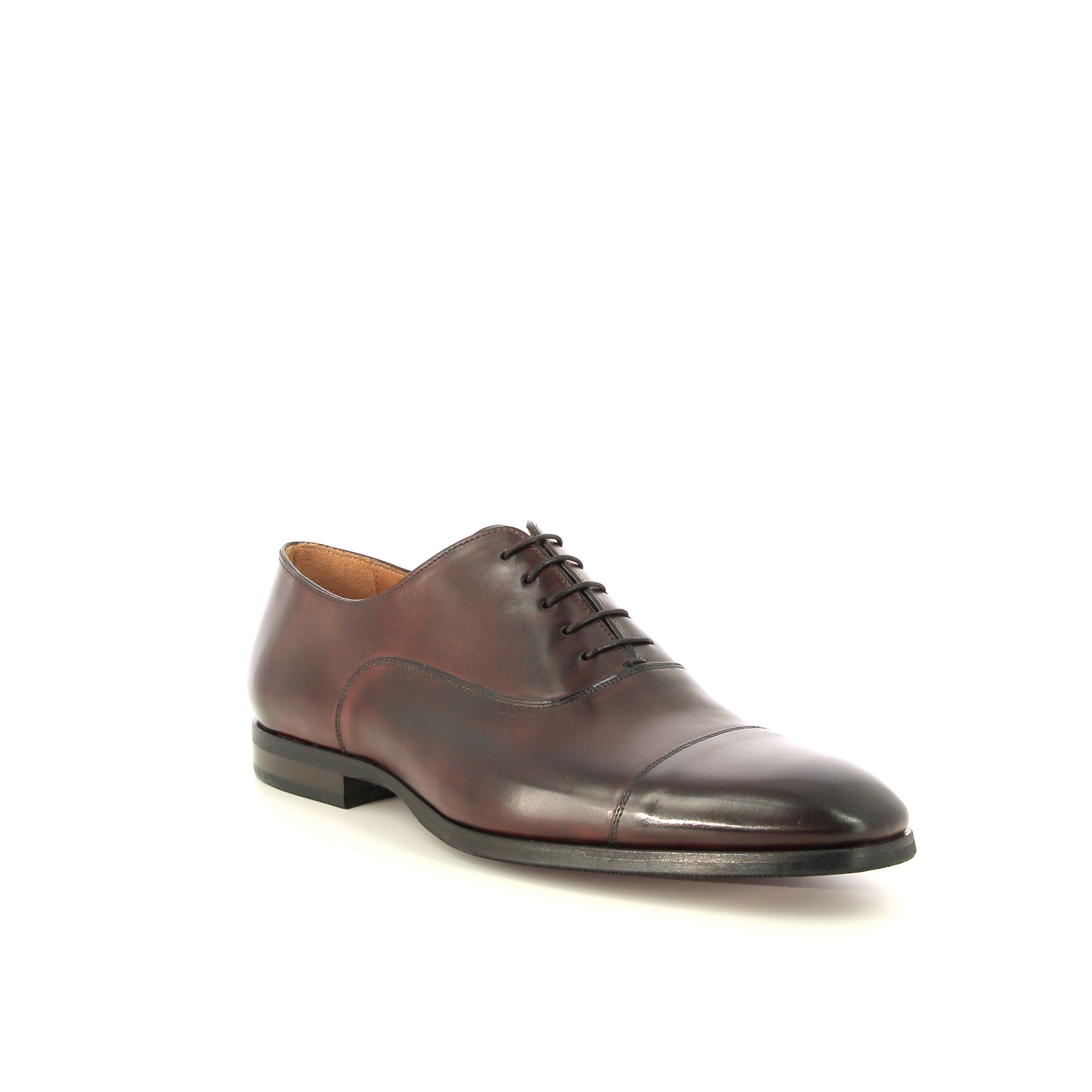 Corden's Mayfair 263551 bruin