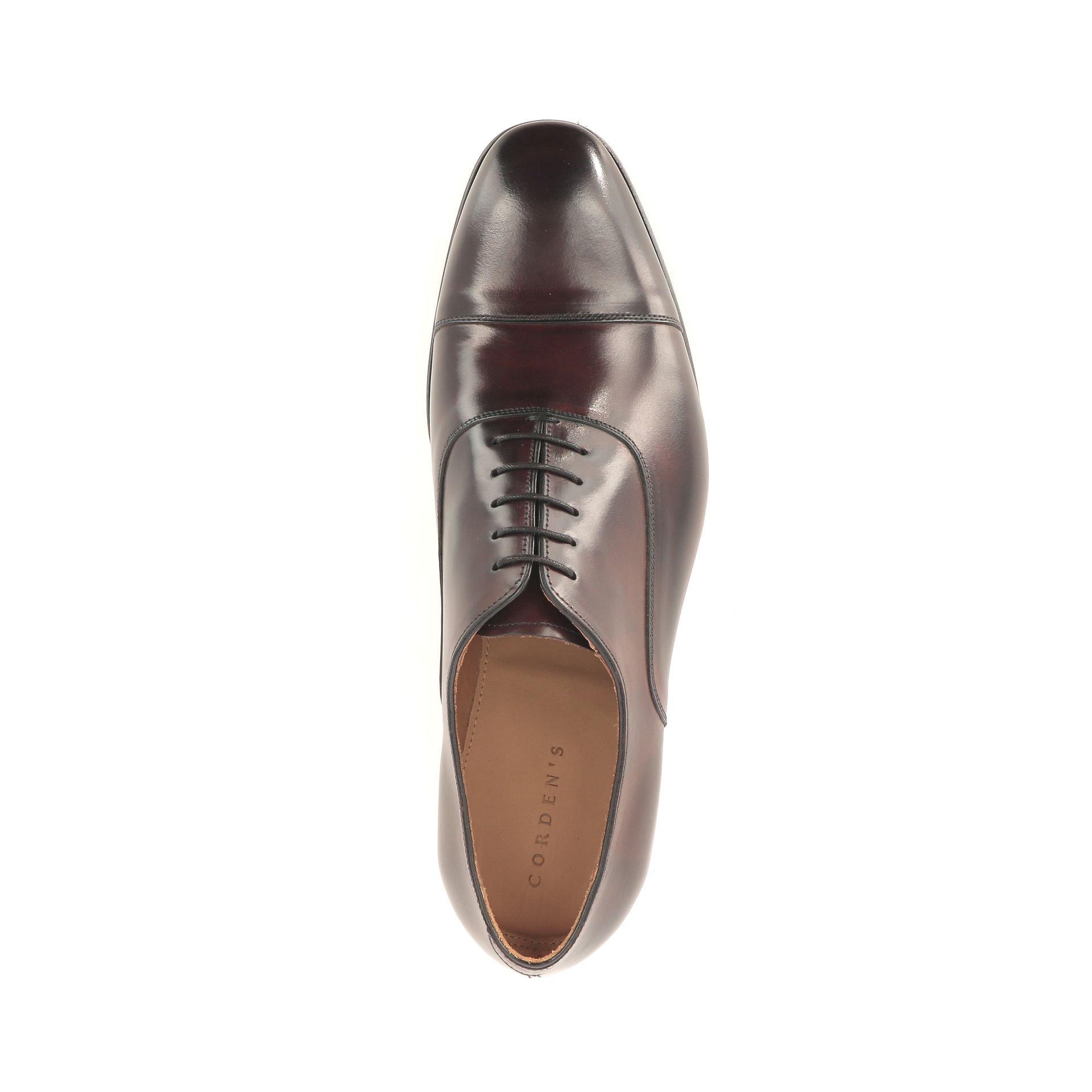 Corden's Mayfair 263551 bruin