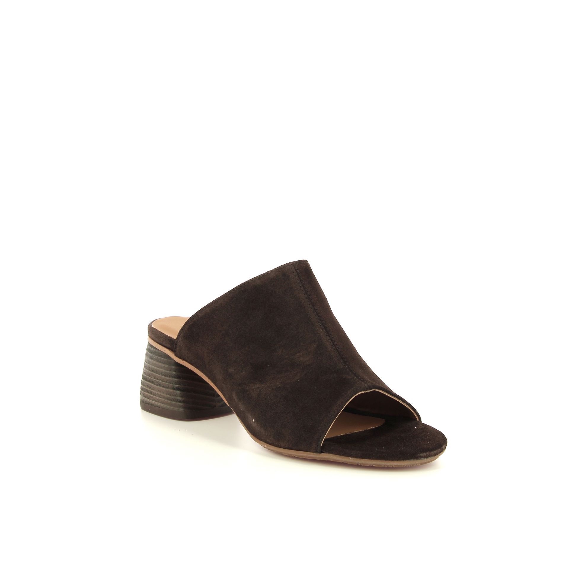 Angulus Muiltje 263751 bruin